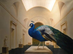 Sentinel der Schönheit,  Der blaue/grüne Pfau bewacht das Museum.