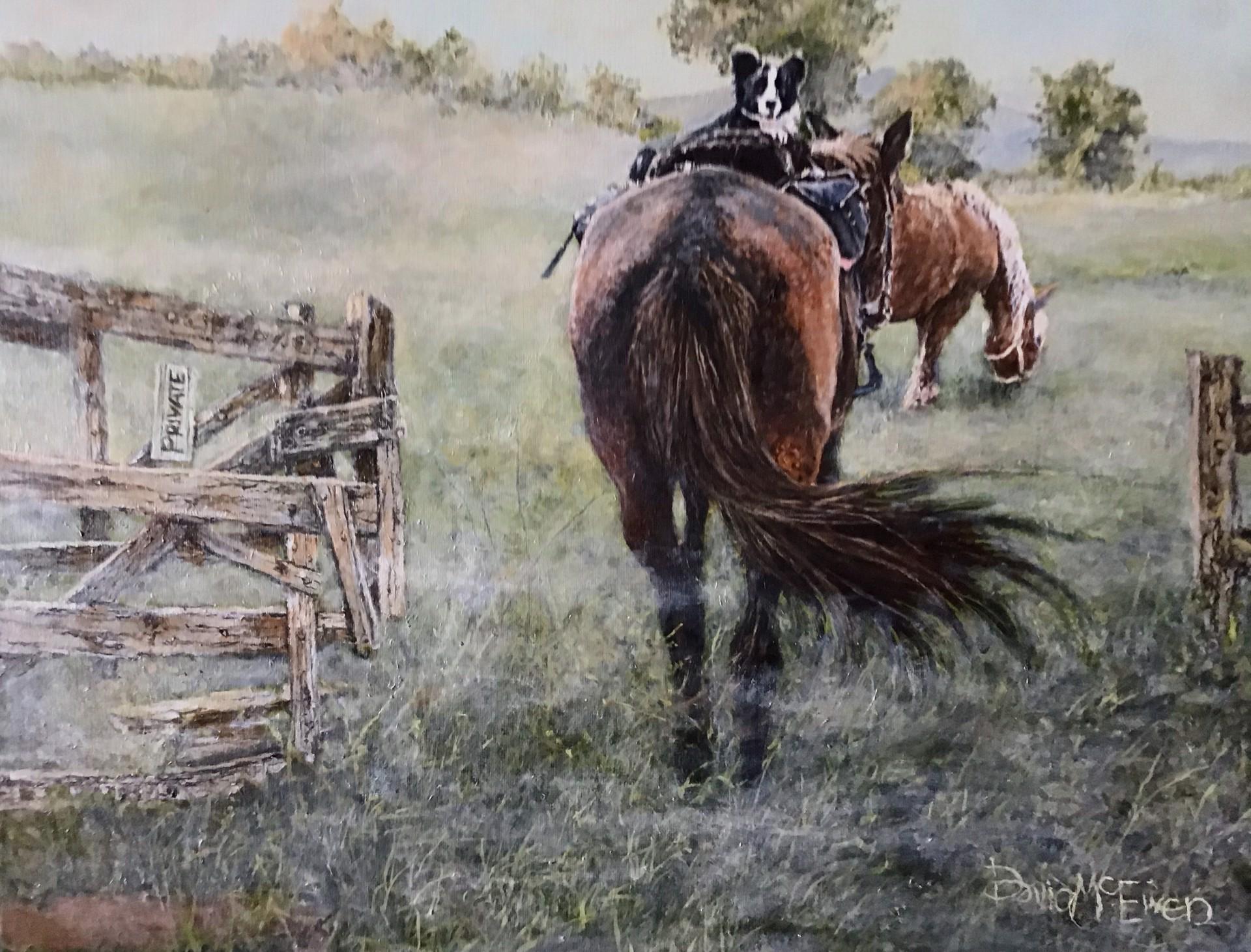 Animal Painting di David McEwen - Paesaggio scozzese nebbioso, Border Terrier, cane e cavalli in un racconto affascinante