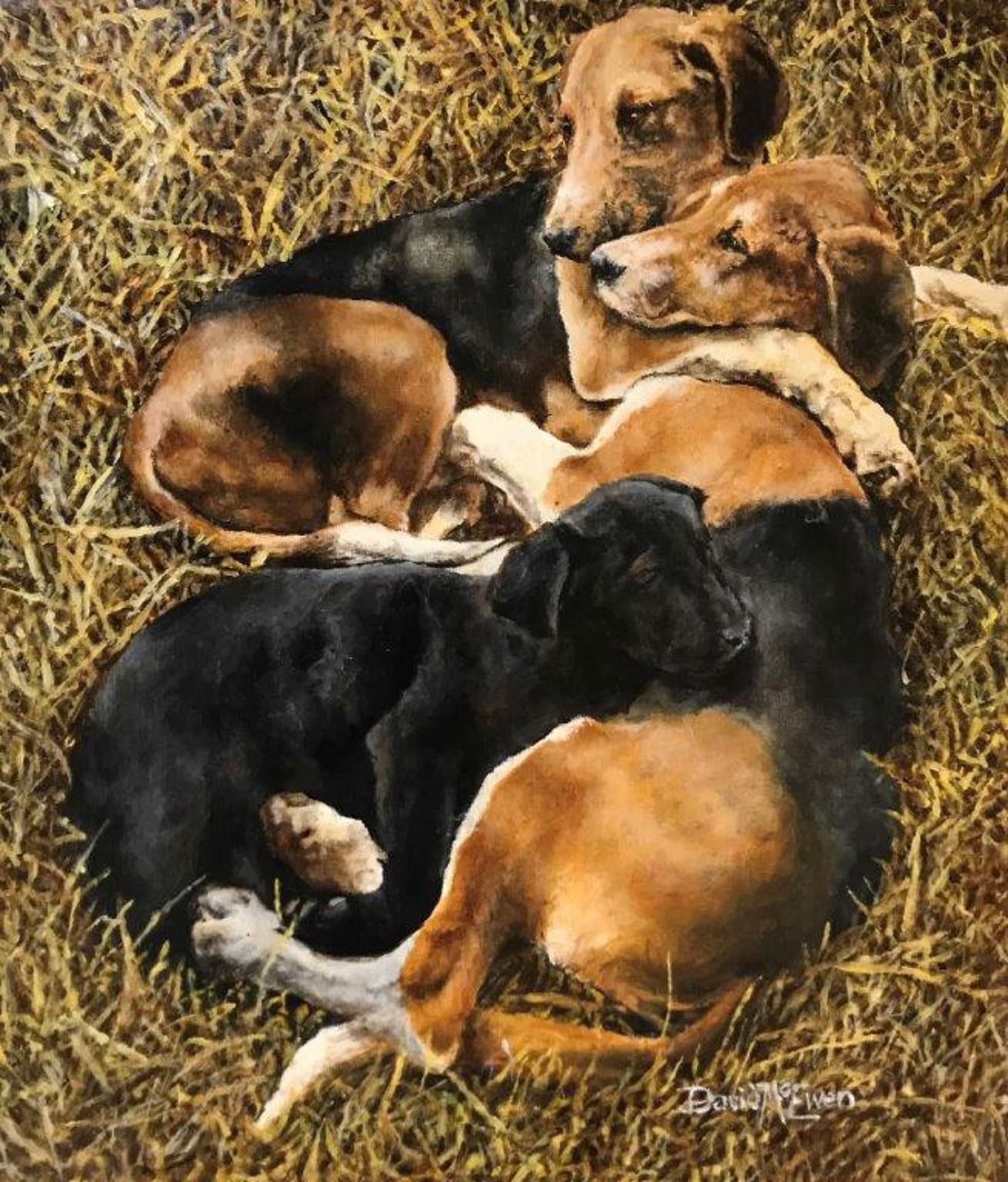 David McEwen Portrait Painting - English Foxhounds hugging Labrador puppy relaxing in field, a charming lovestory