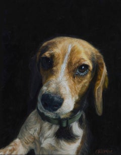 Sue Anne, un dipinto di cani Beagle che chiede l'elemosina per gli animali domestici fa sorridere lo spettatore