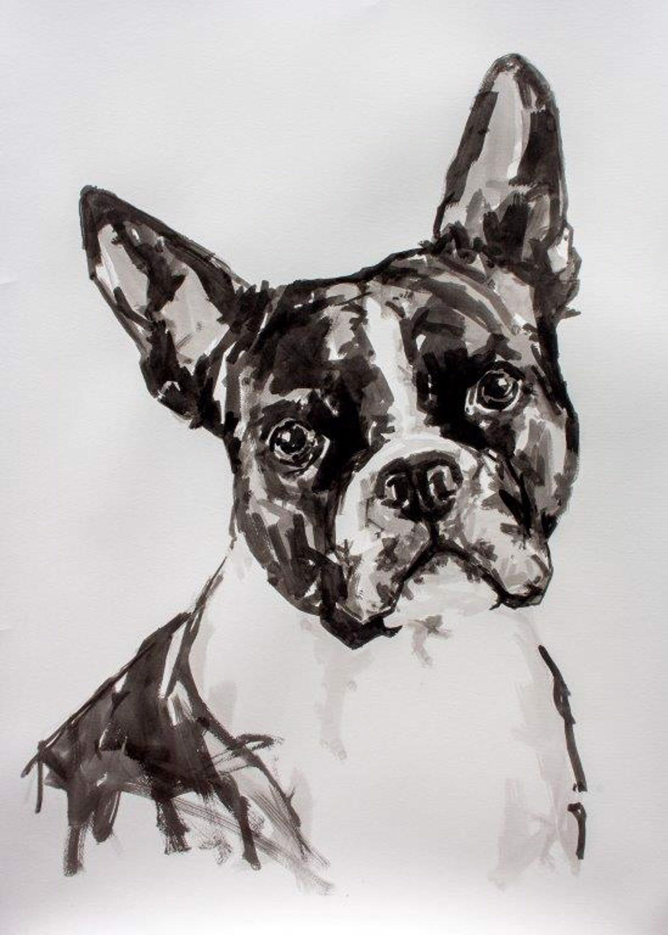 Ian Mason Animal Painting – Boston Terrier, großes zeitgenössisches, minimalistisches Porträt eines Hundes in Schwarz auf Papier