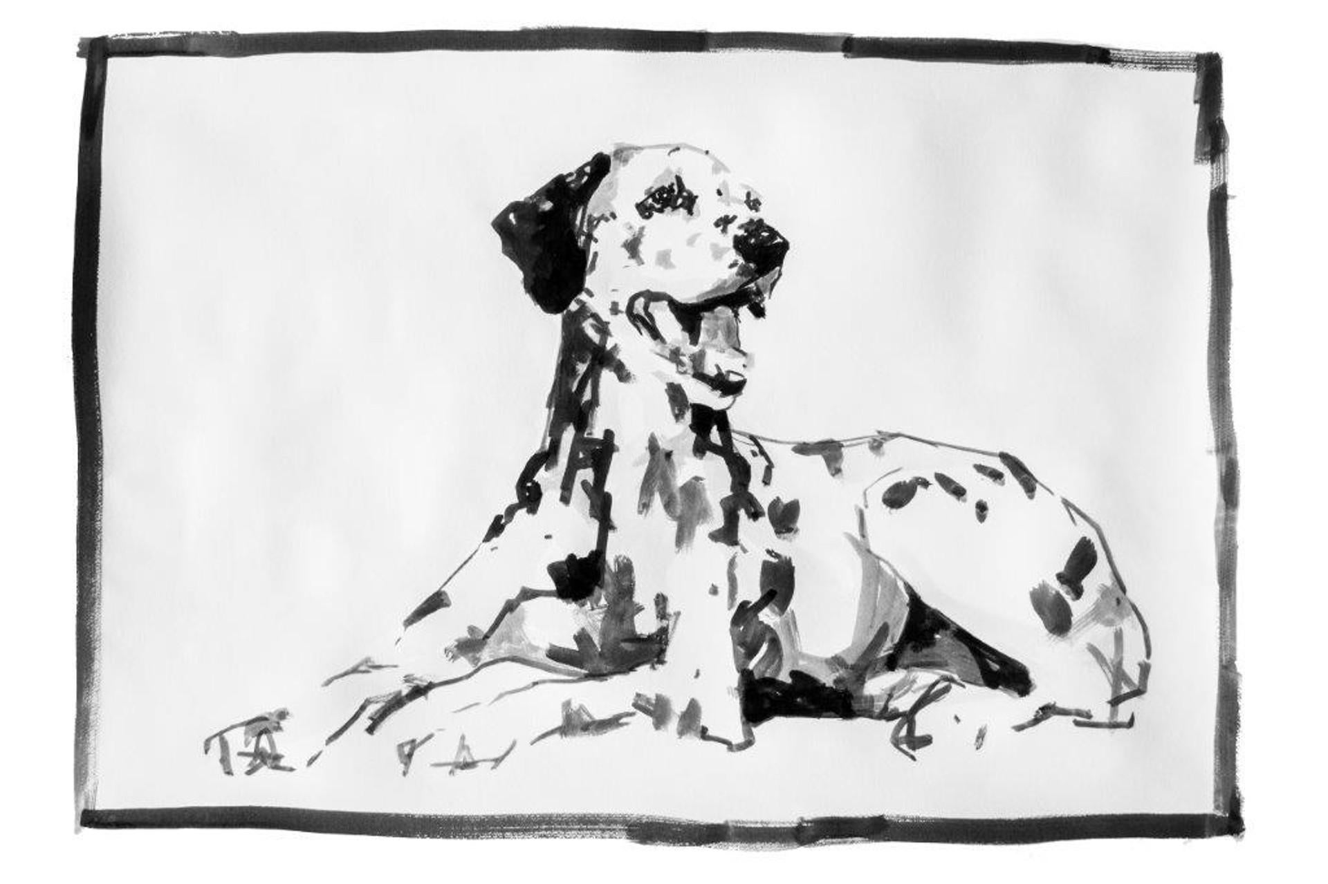 Dalmatien, grand portrait contemporain minimal contemporain d'un chien à l'encre noire sur papier