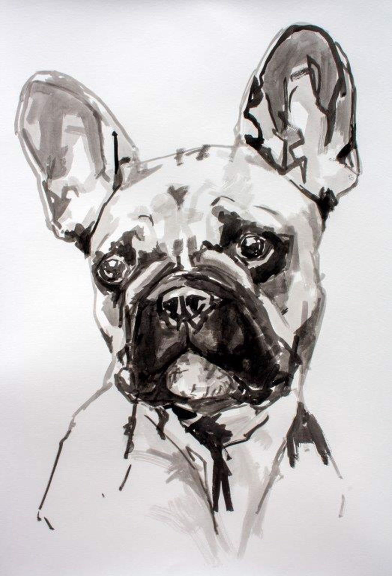 Ian Mason Animal Painting - French Bulldog, large contemporary minimal portrait of a dog in black ink/paper