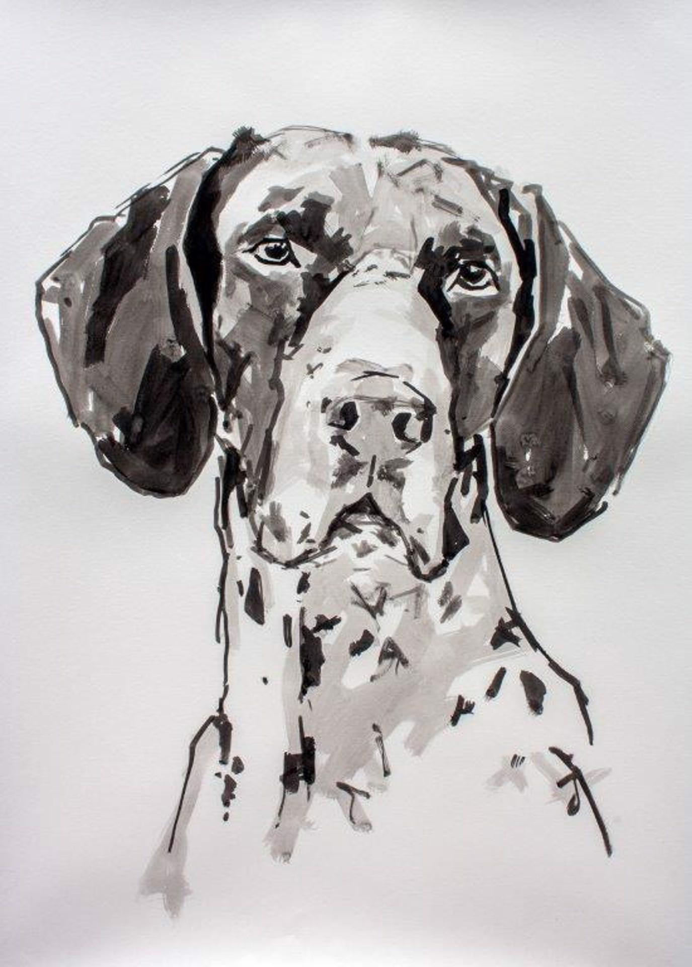 Ian Mason Animal Painting - German Pointer, large contemporary minimal portrait of a dog in black ink/paper