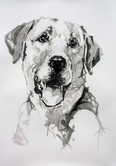 Labrador Retriever, large contemporary minimal portrait of a dog in ink on paper