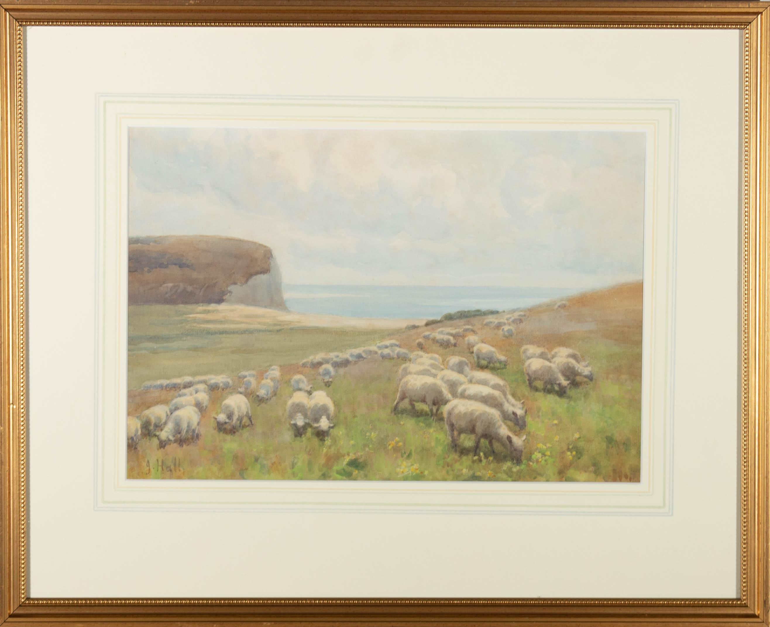 Jessie Hall (1858-1914) - Watercolour, Grazing sheep, South Downs 1