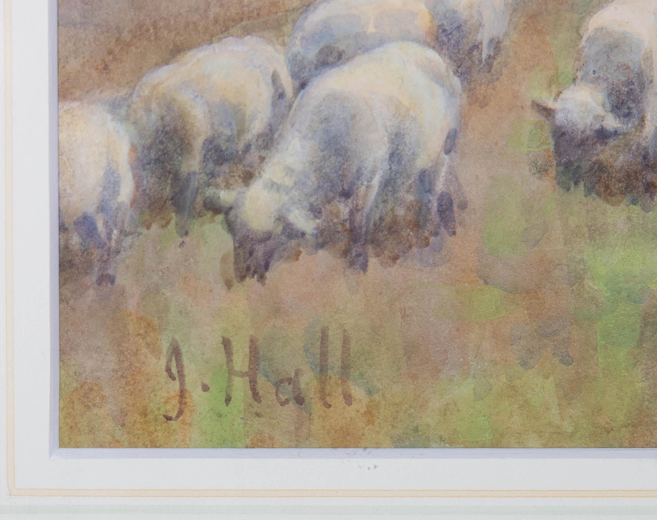Jessie Hall (1858-1914) - Watercolour, Grazing sheep, South Downs 4