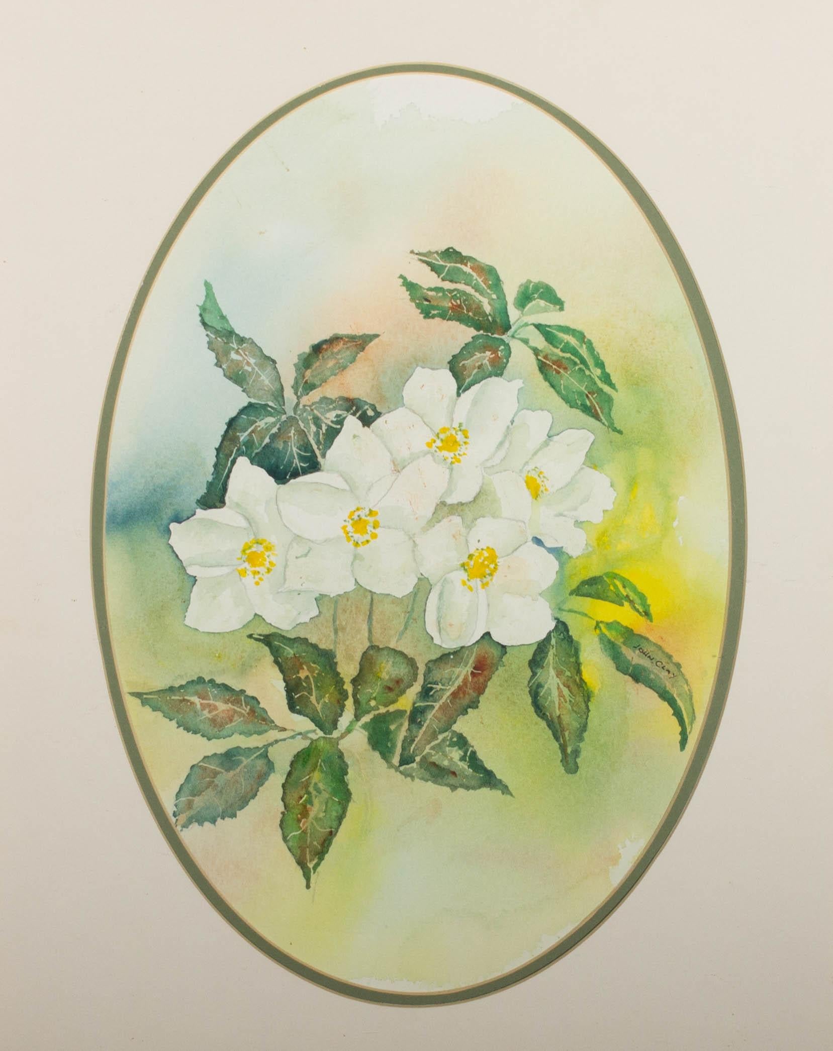 20th Century Watercolour - Mock Orange Flower - Beige Still-Life by Unknown