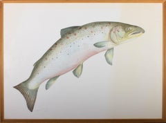 1968 Watercolour - Leaping Salmon