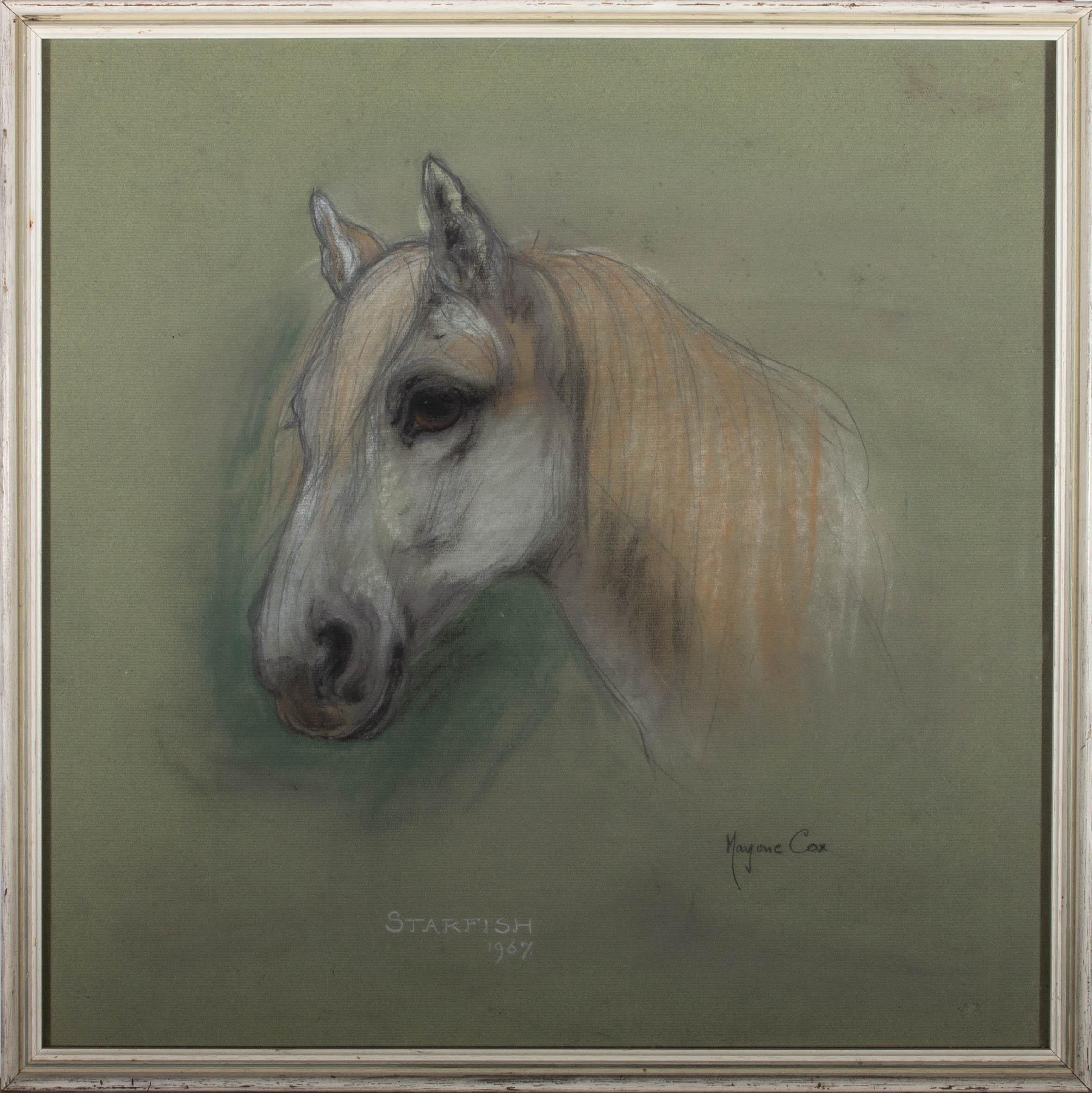 A wonderful equine portrait of a horse named Starfish. The artist has dated, inscribed and signed at the lower half and the portrait has been presented in a white frame. On laid.
