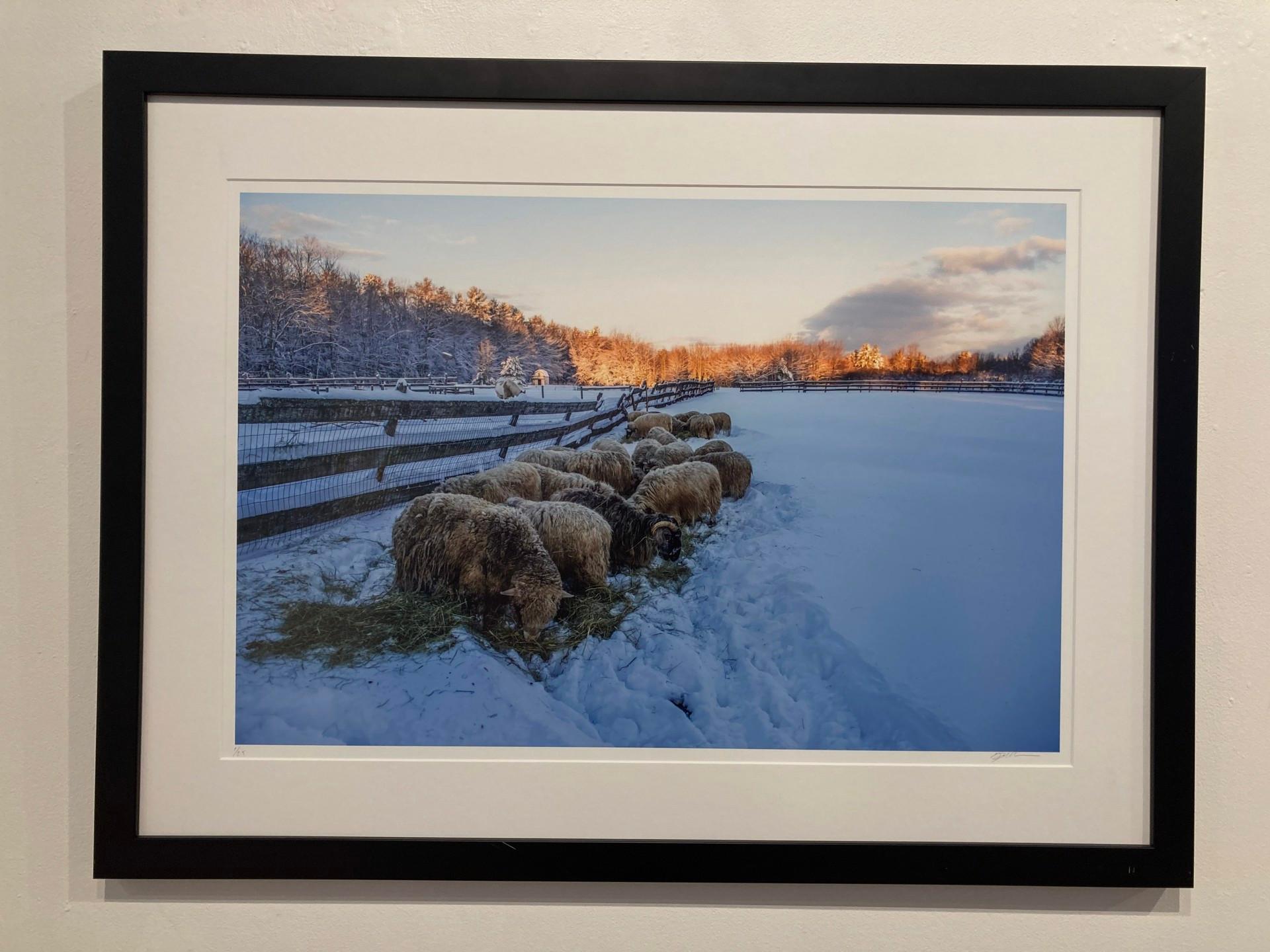 Lever de soleil d'hiver
