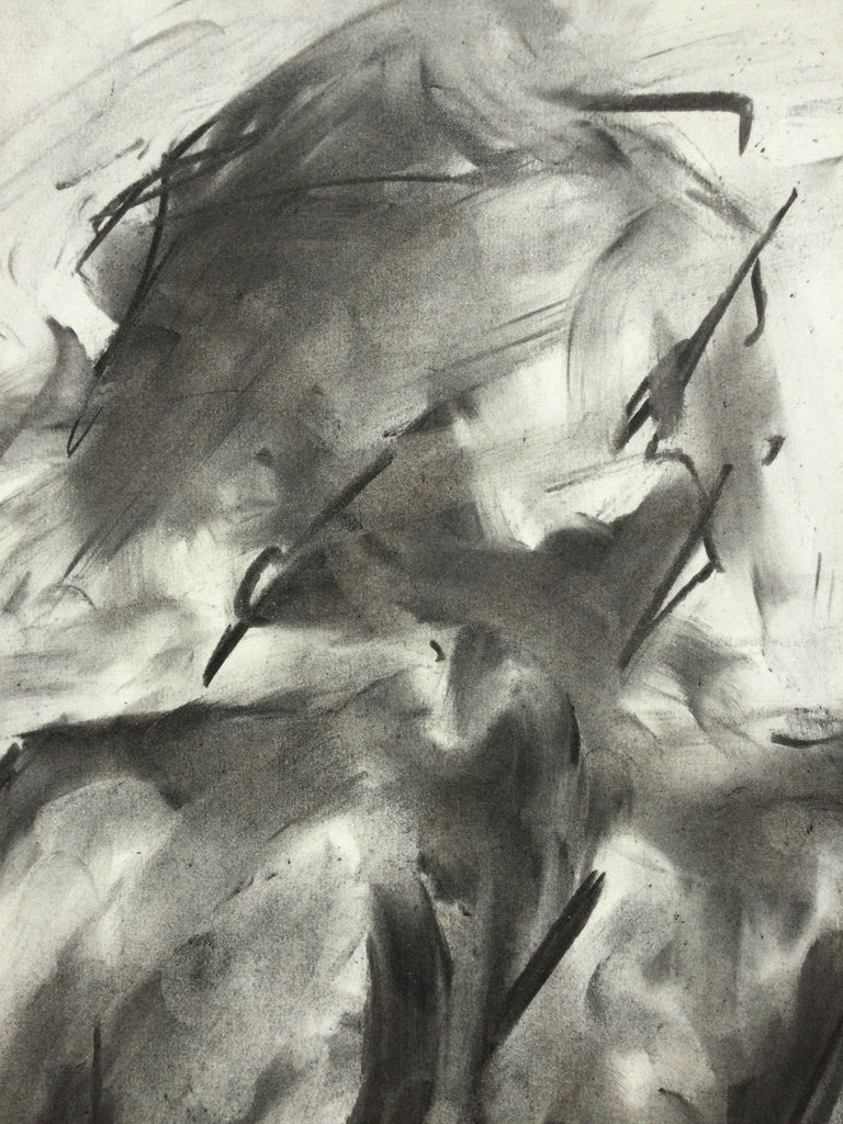 James Shipton - Subtle, Drawing, Charcoal on Paper For Sale at 1stDibs
