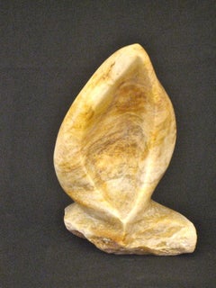 Seed Pod