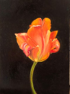 Tulip (Orange)