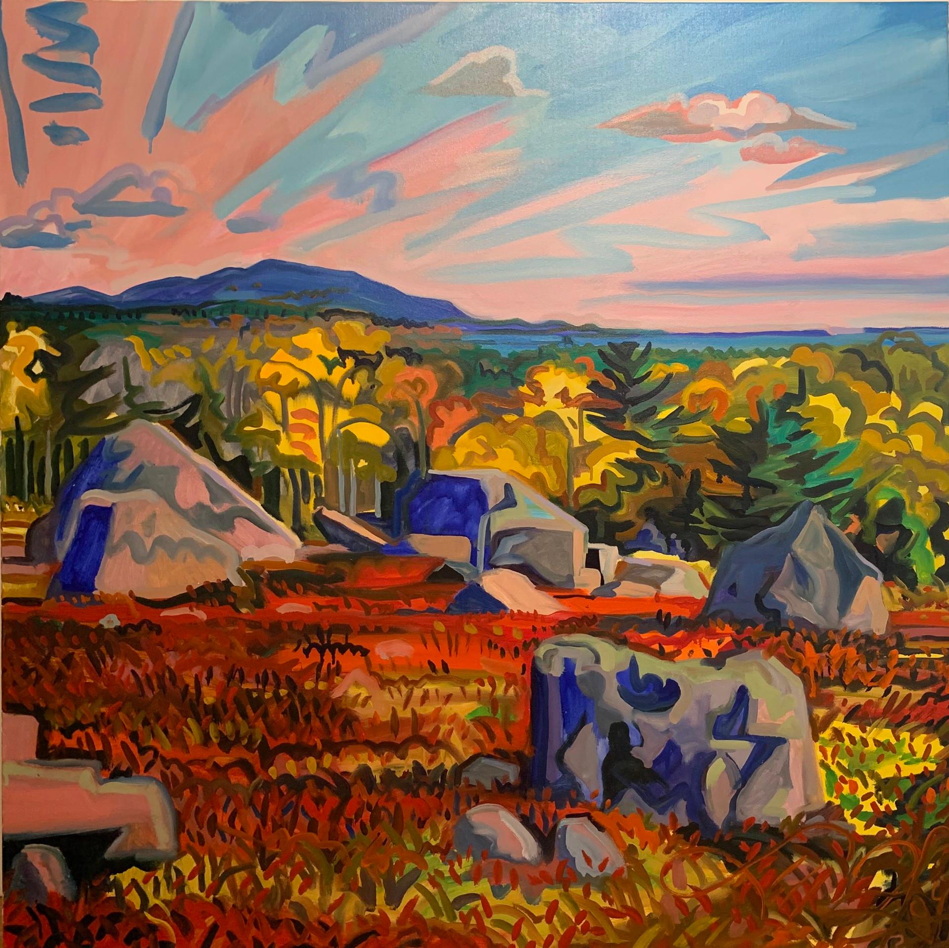 Hoy Blue Rock Barren - Art by Jill Hoy