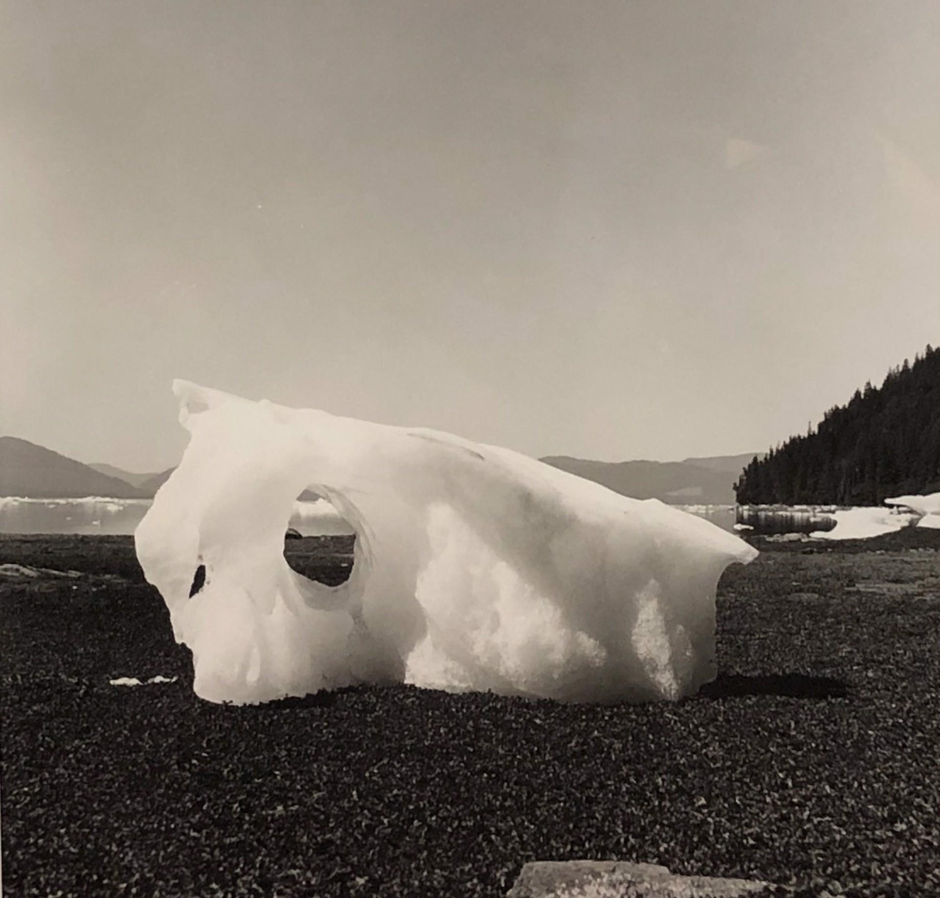 Frederick Sound à la baie de Le Conte, Alaska - Art de William Crosby