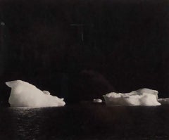 Le Conte Bay, Two Icebergs