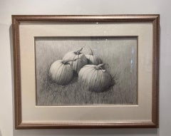 Field Pumpkins