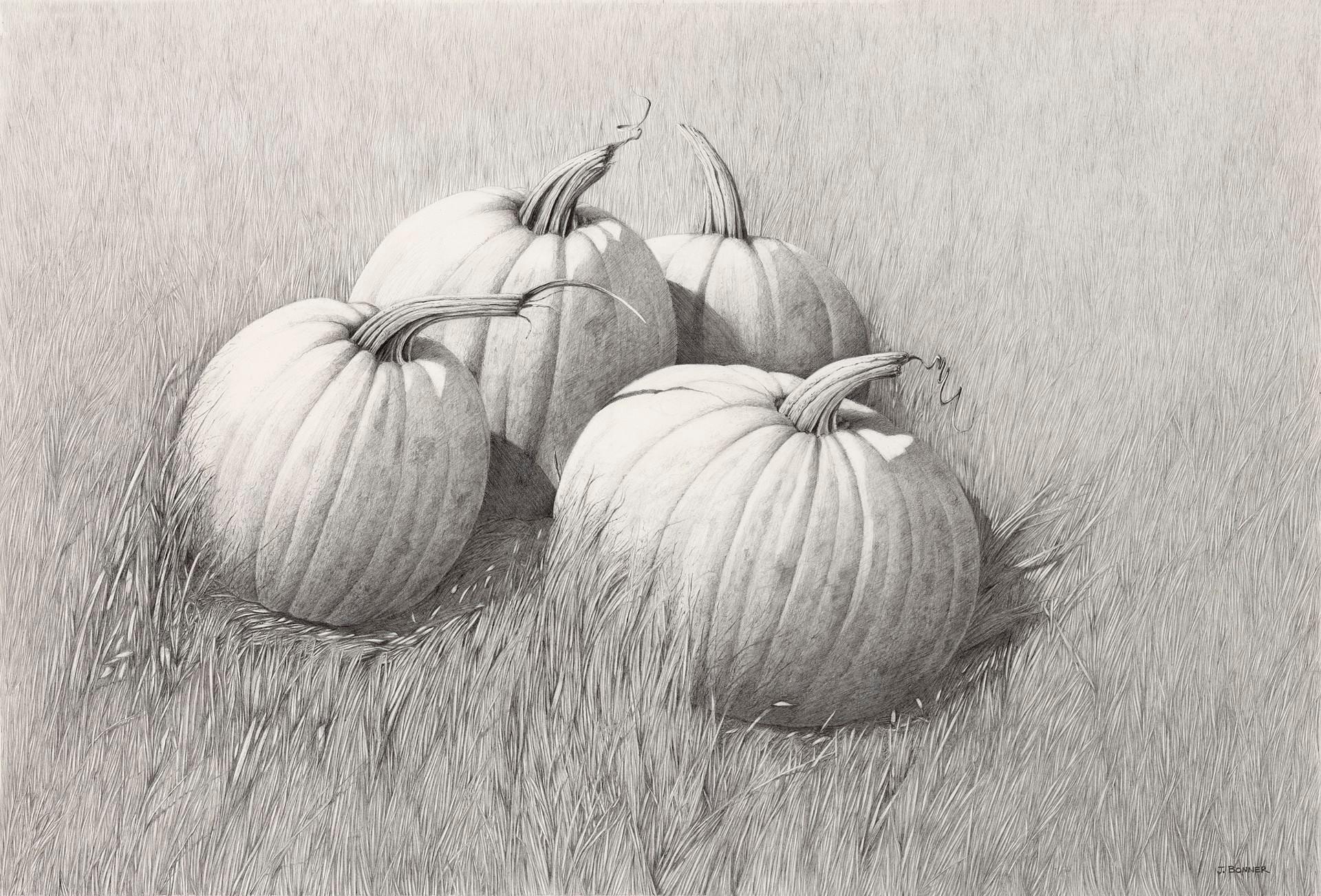 Field Pumpkins - Art by James Bonner