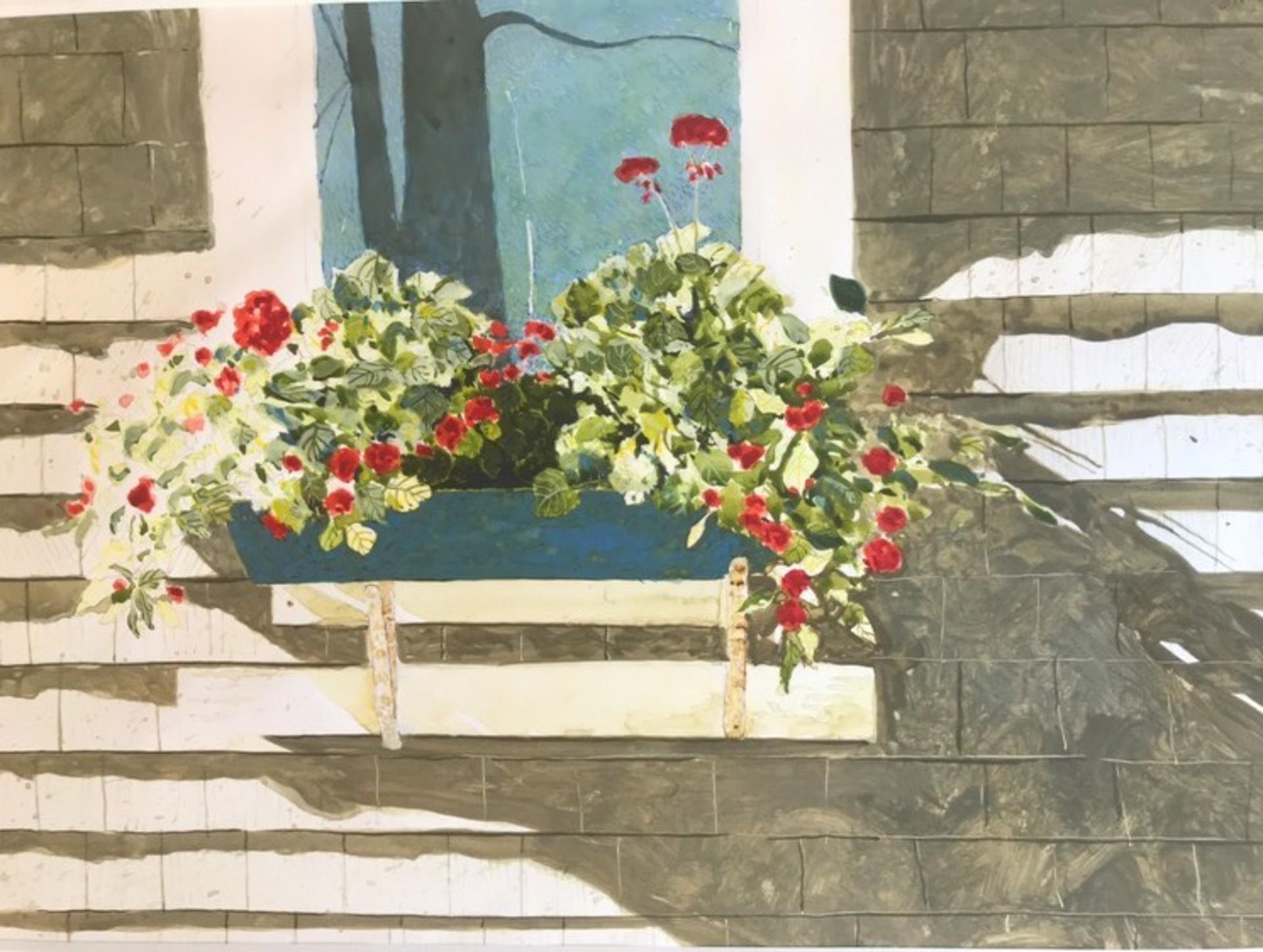 Flower Box Shadows - Art by Gary Akers