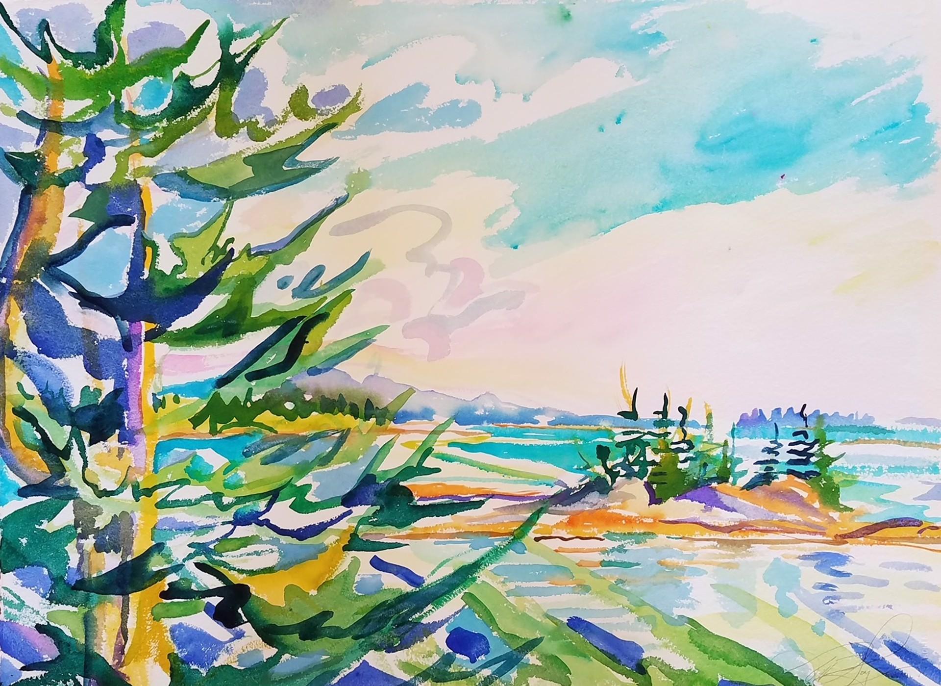 Sprungdecken- und Keil-Insel – Art von Jill Hoy