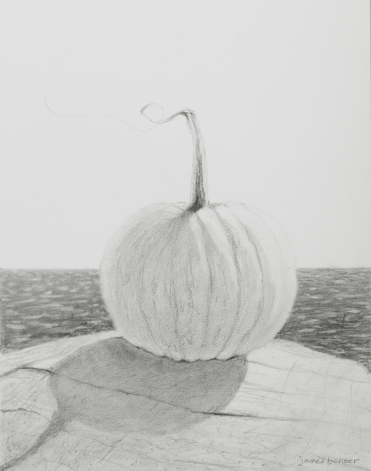 White Sea Pumpkin Study - Art by James Bonner