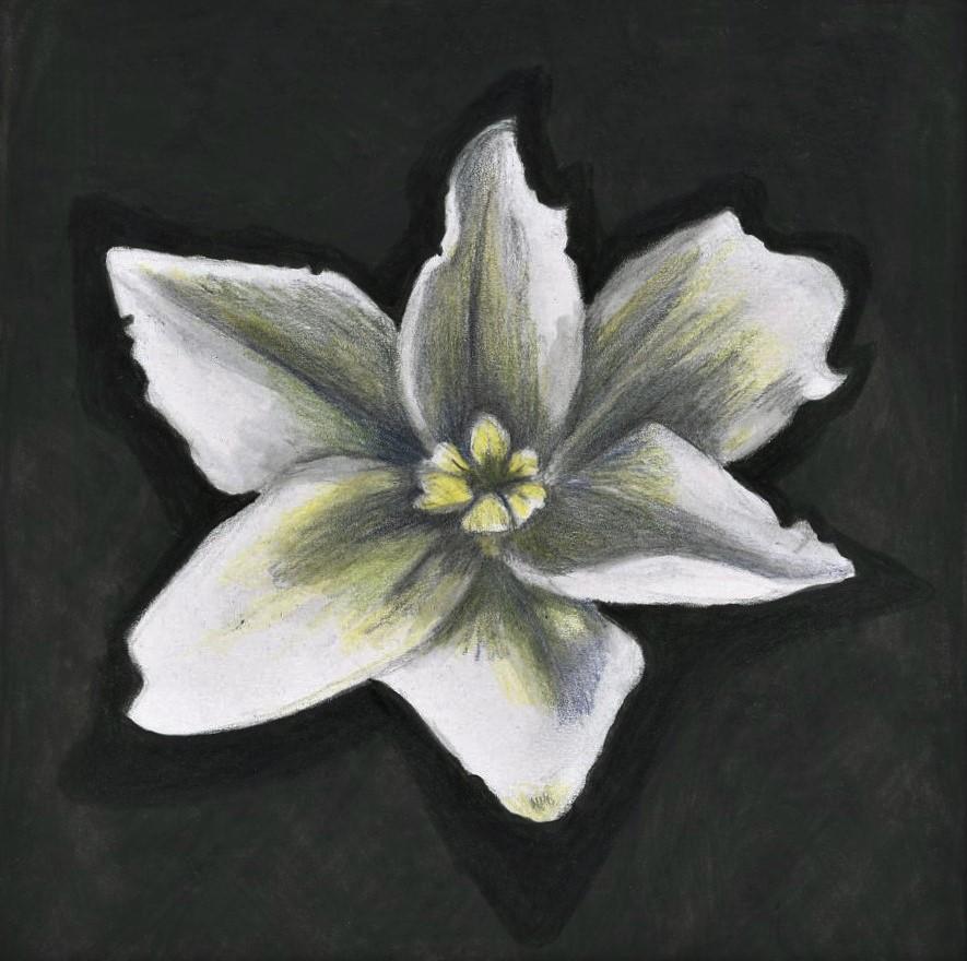 Peinture abstraite à l'acrylique Rain Lily, 2018