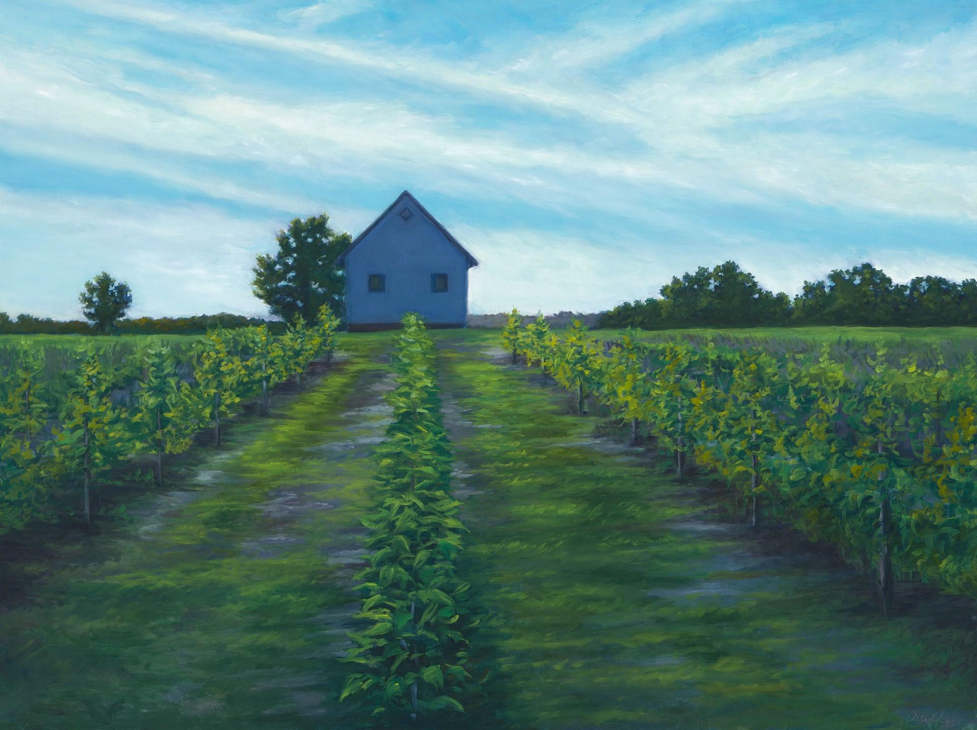Edward Duff Landscape Painting - The Vineyard, contemporary landscape, oil painting, field, white house