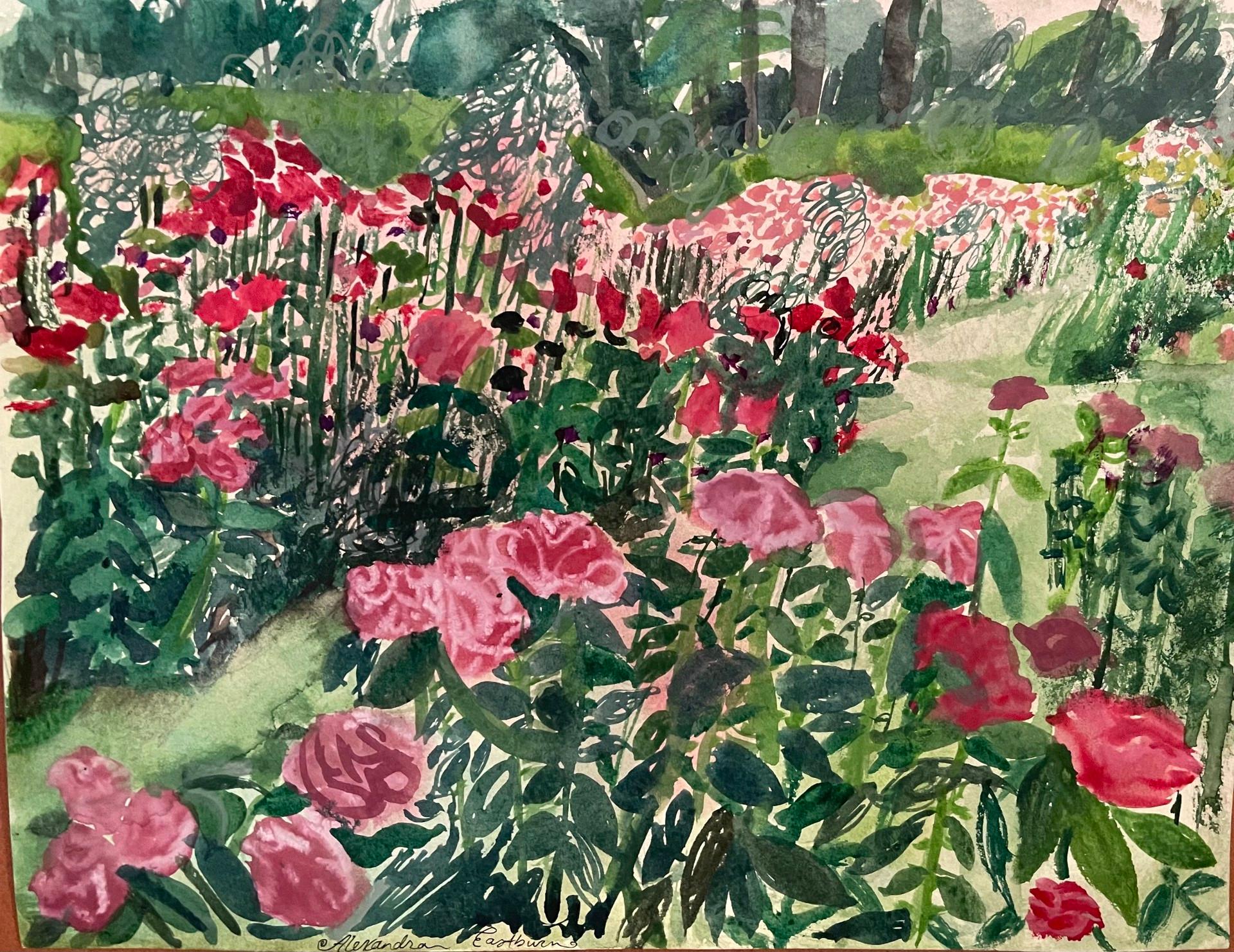 Alexandra Eastburn Landscape Painting - Portland Rose Garden Study,  botanical, watercolor painting, roses, pink & red