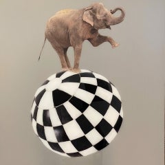 Balancing Act, contemporary mixed media photograph, elephant on checkered ball