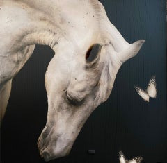 Give me Butterflies, contemporary mixed media photograph, horse & butterflies