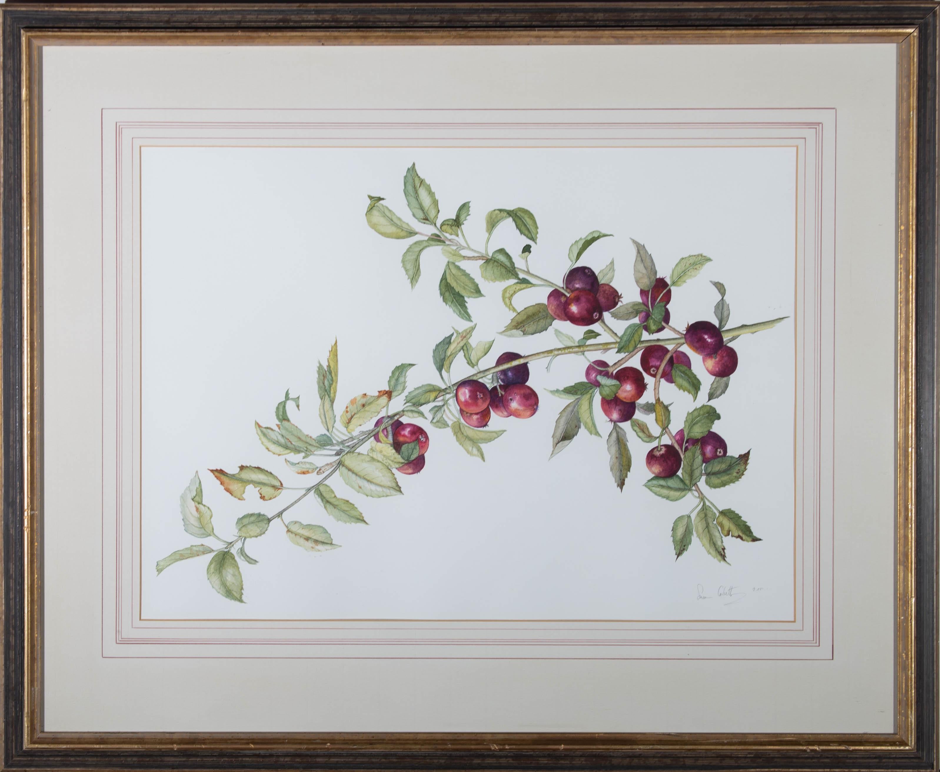 A delightful study of a crab apple branch laden with fruit. Painted in fine detail, the artist has captured the intricate leaves in delicate brush strokes. Signed and dated to the lower right. Well presented in a part-gilt frame. On wove.
