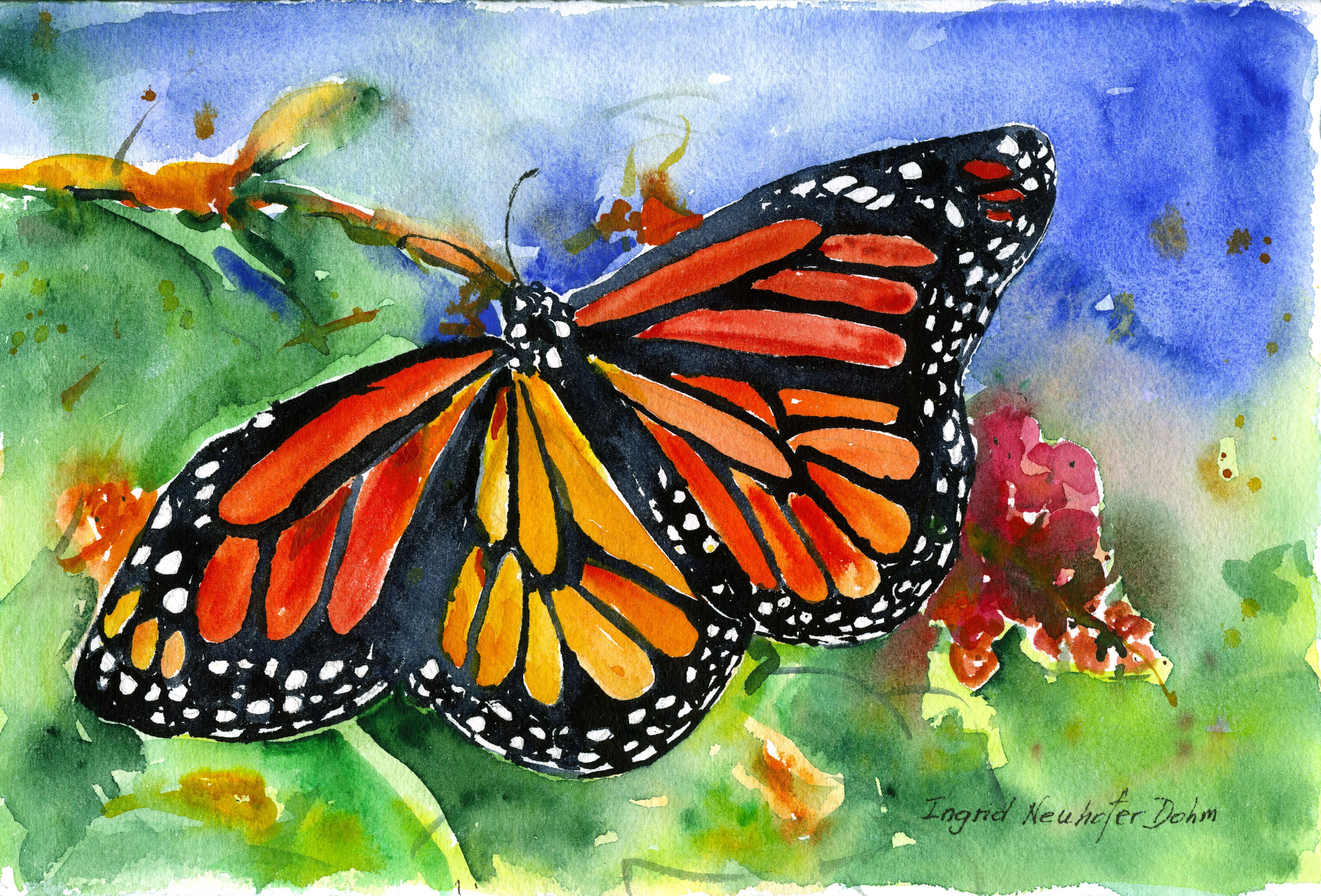 Animal Art Ingrid Dohm - Butterfly, peinture à l'aquarelle originale, 2014