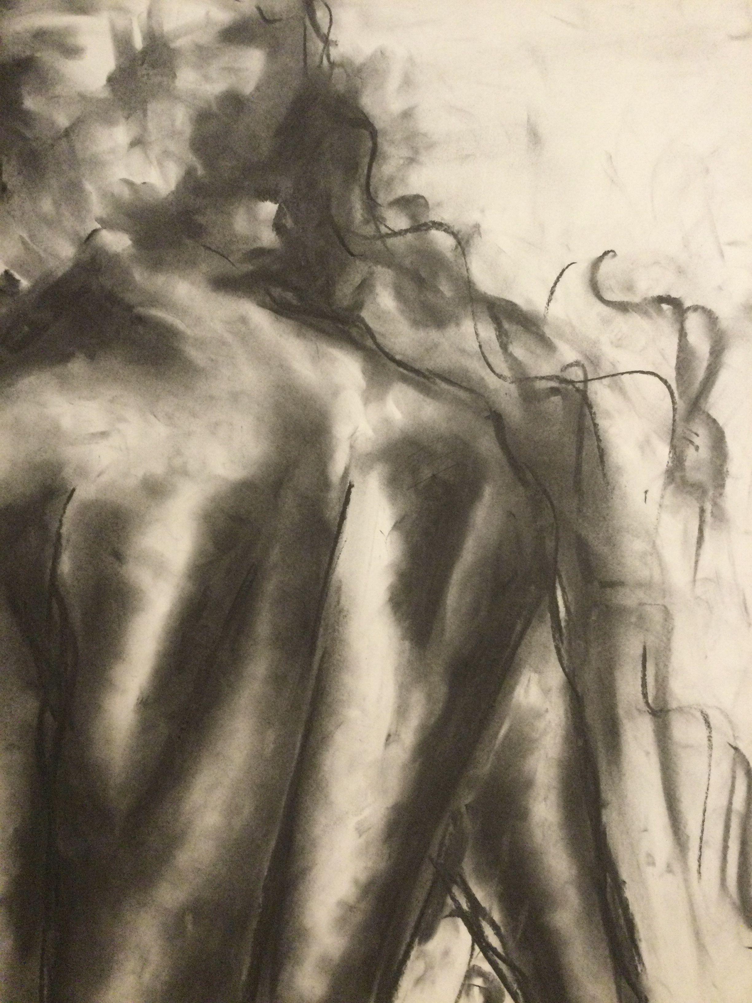 Original charcoal drawing on paper by James Shipton  My works are heavily influenced by the art work of Degas and Gustav Klimt.    My desire is to capture the beauty of the female human form, whilst portraying human isolation. I achieve this through