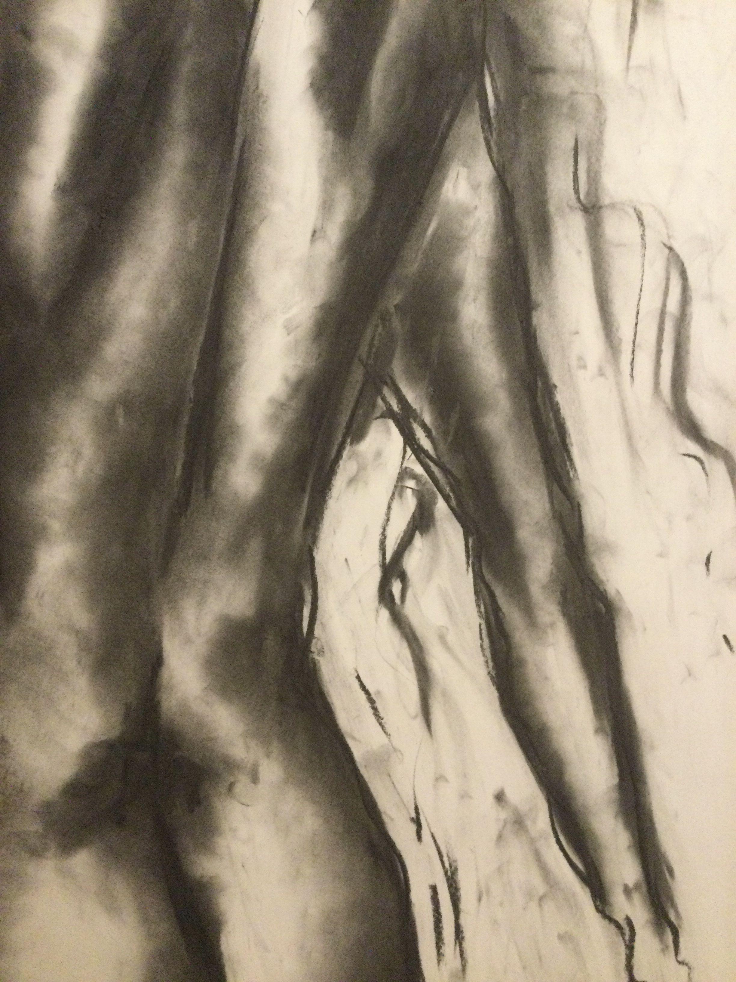 By My Side, Drawing, Charcoal on Paper 1