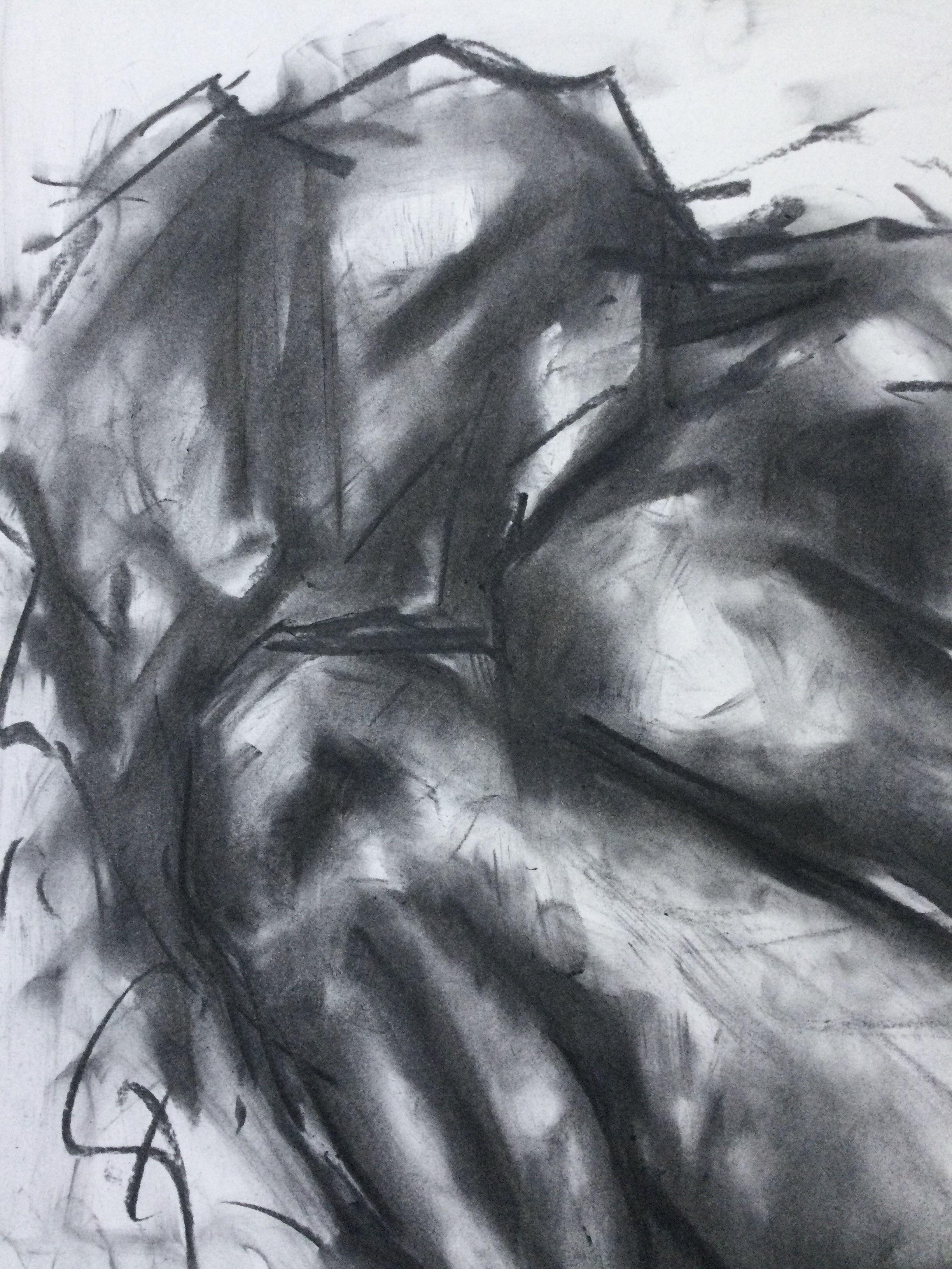 Once Again, Drawing, Charcoal on Paper - Impressionist Art by James Shipton