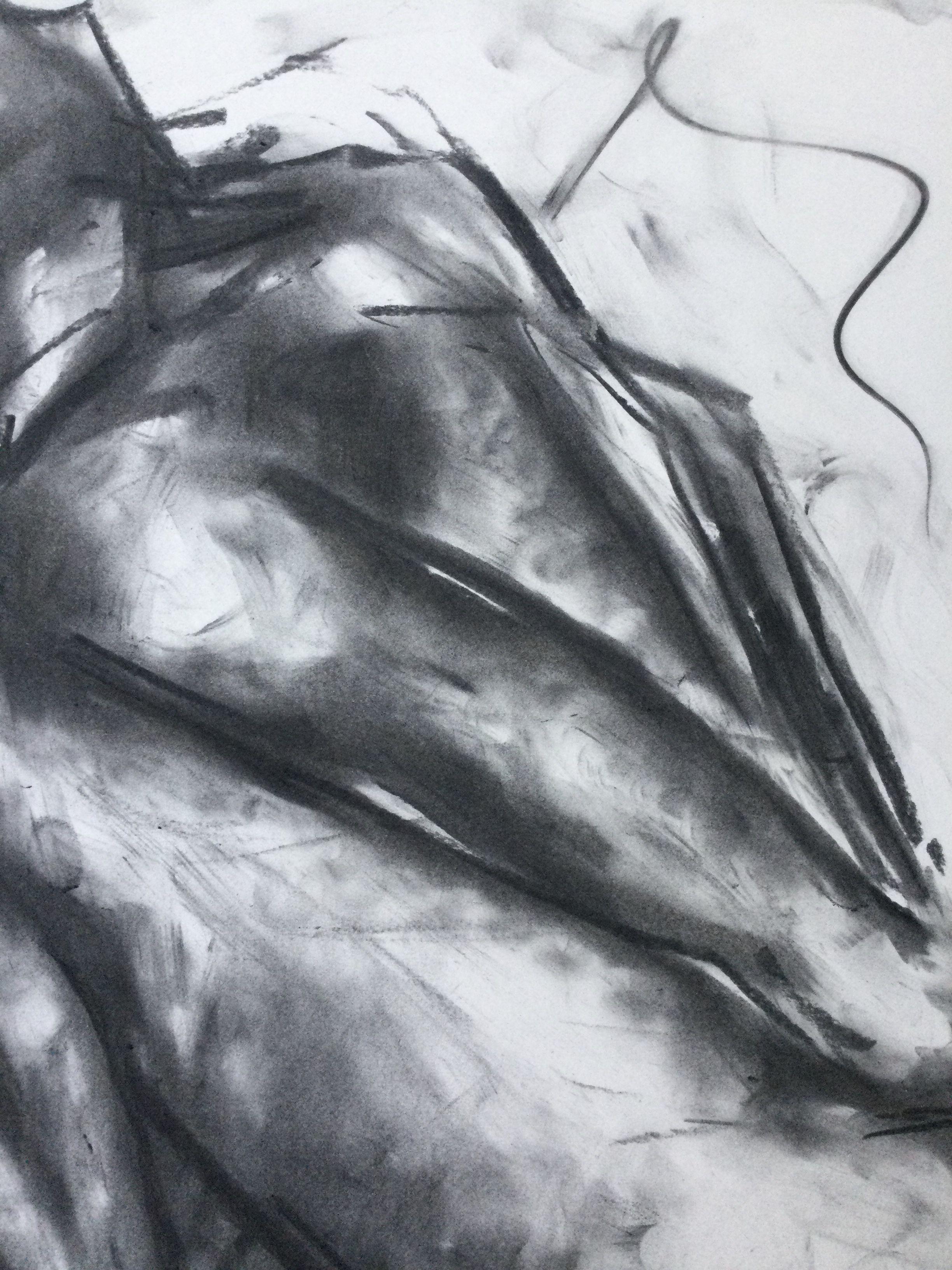 Original charcoal drawing on paper by James Shipton  My works are heavily influenced by the art work of Degas and Gustav Klimt.    My desire is to capture the beauty of the female human form, whilst portraying human isolation. I achieve this through