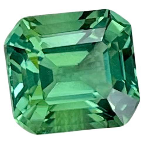 2,27 quilates Piedra turmalina verde menta Talla esmeralda Piedra preciosa afgana