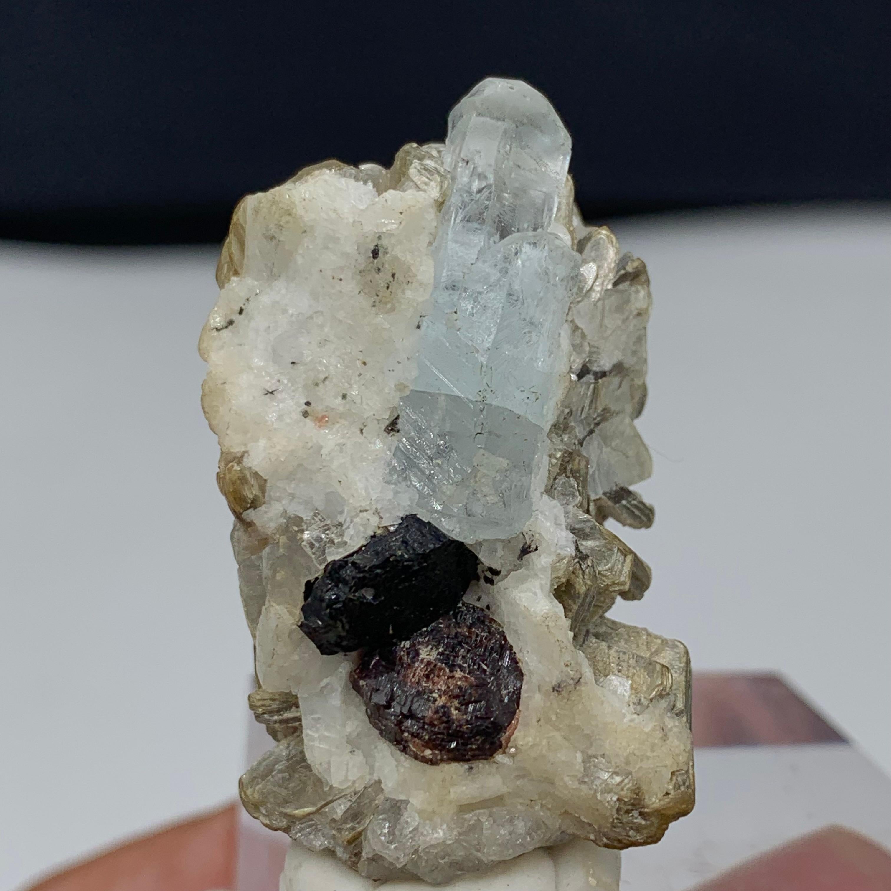 22.75 Gram Gorgeous Aquamarine Specimen Attach With Garnet And Muscovite 
Weight: 22.75 Gram
Dimension: 4.2 x 2.5 x 2.2 Cm
Origin: Skardu, Pakistan 

Aquamarine is a pale-blue to light-green variety of beryl. The color of aquamarine can be changed