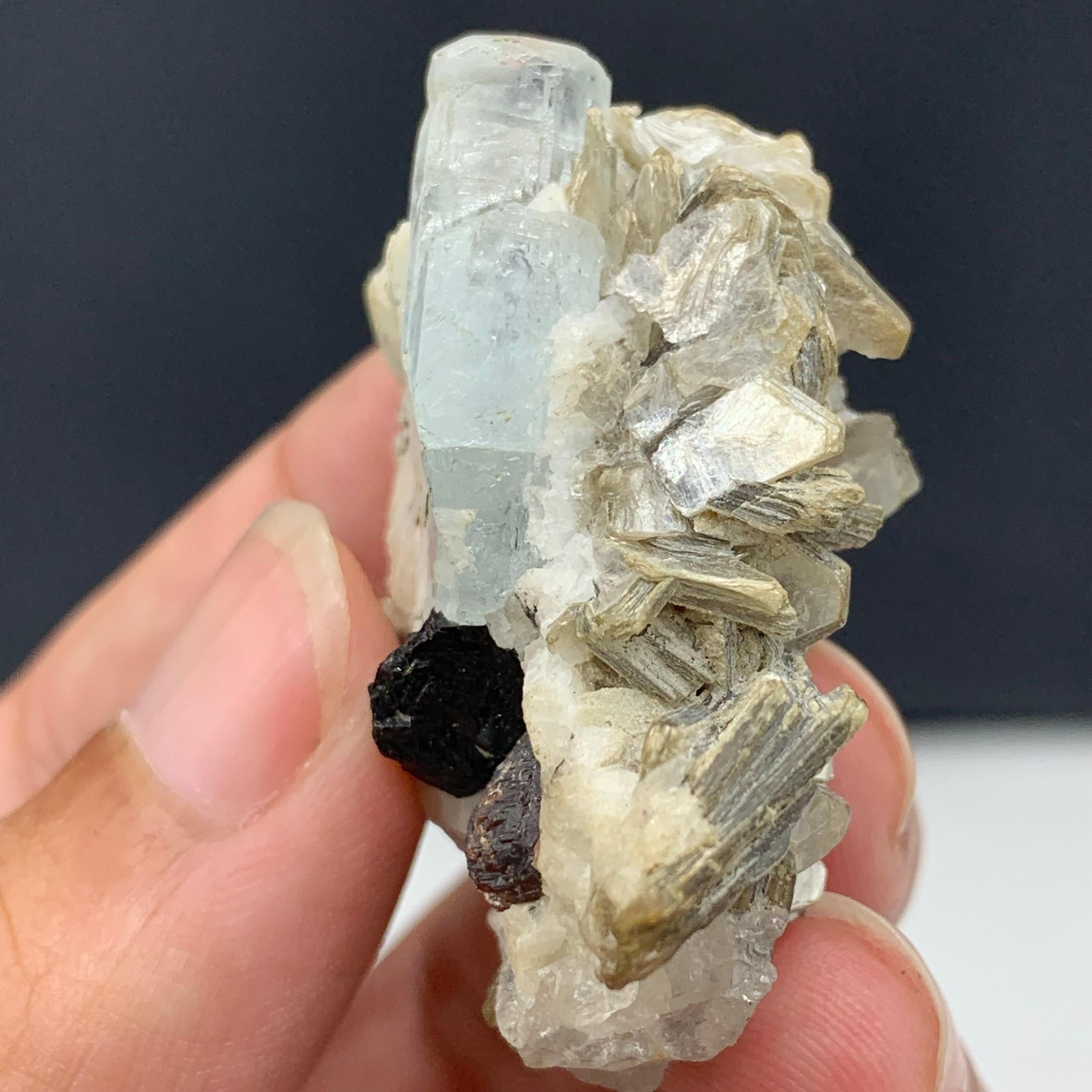 Other 22.75 Gram Gorgeous Aquamarine Specimen Attach With Garnet And Muscovite  For Sale
