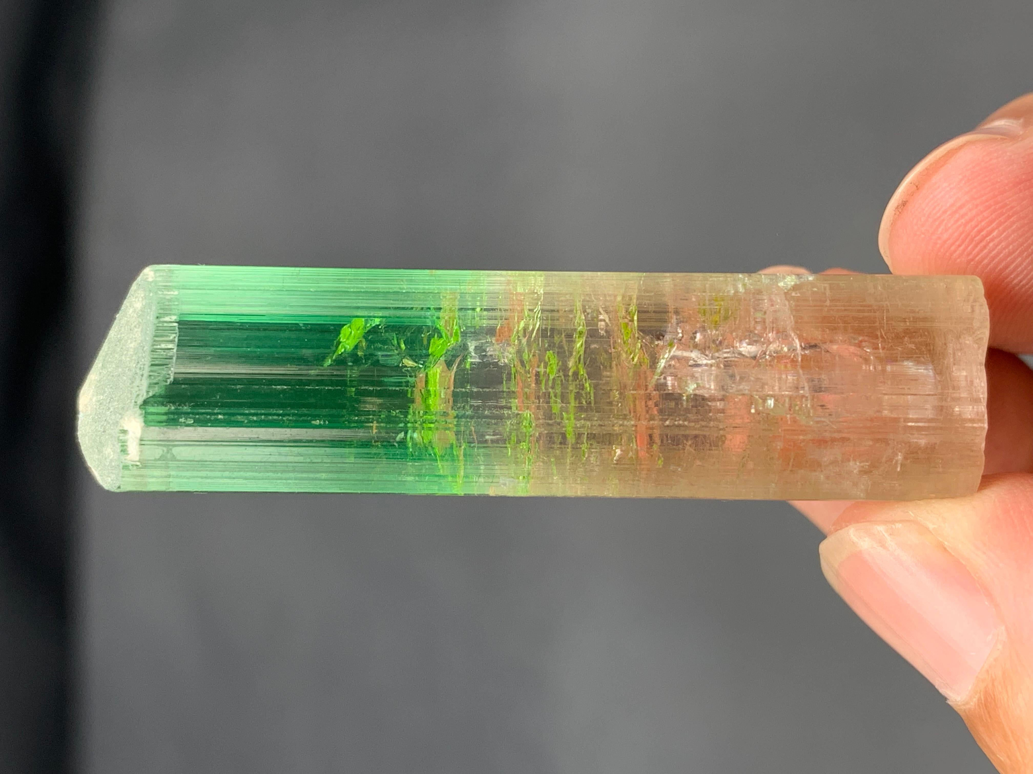 22,84 Gramm farbenfroher, mehrfarbiger Turmalinkristall aus der Paprook-Mine, Afghanistan im Angebot 4