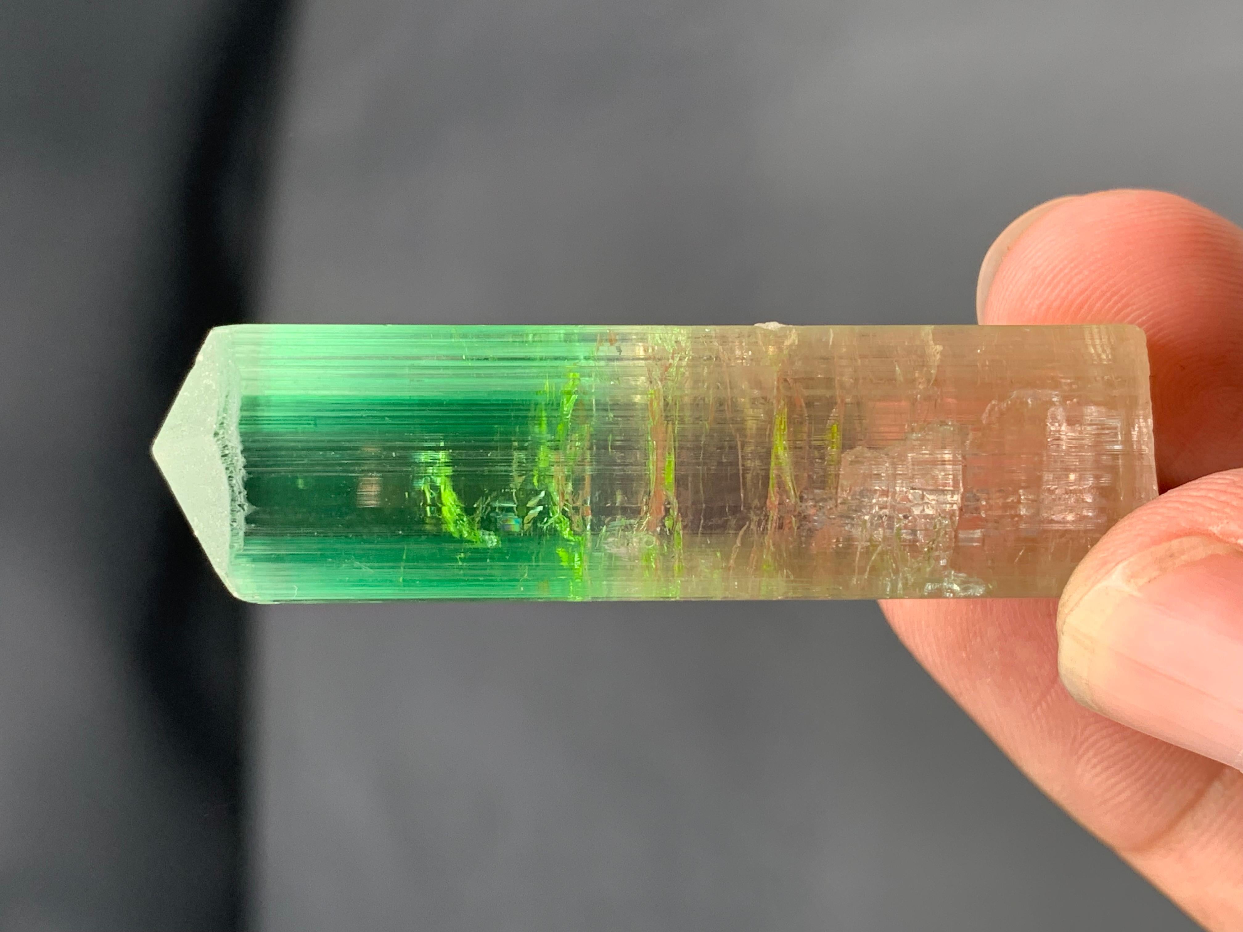 22,84 Gramm farbenfroher, mehrfarbiger Turmalinkristall aus der Paprook-Mine, Afghanistan im Angebot 5