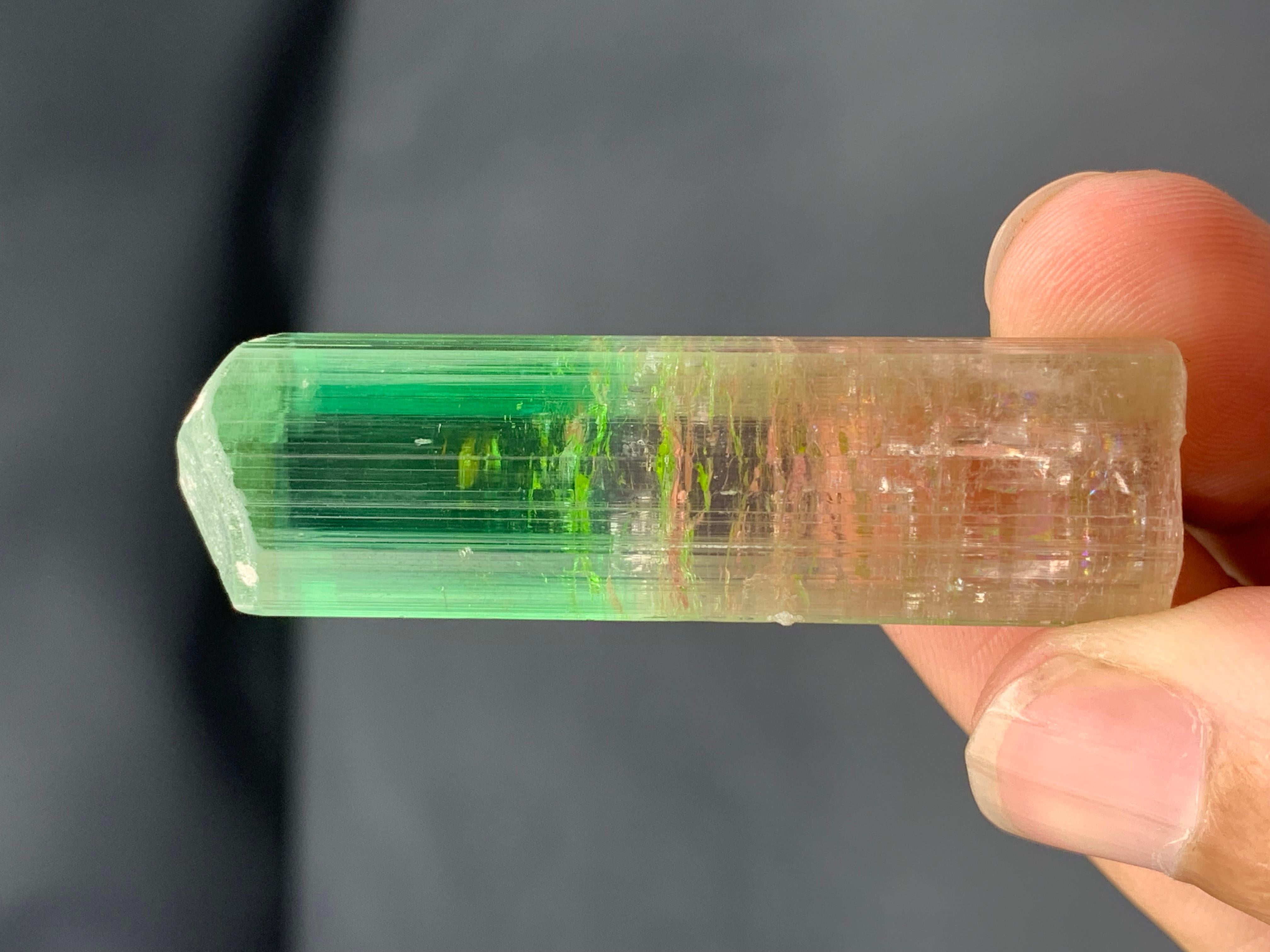 22,84 Gramm farbenfroher, mehrfarbiger Turmalinkristall aus der Paprook-Mine, Afghanistan im Angebot 6