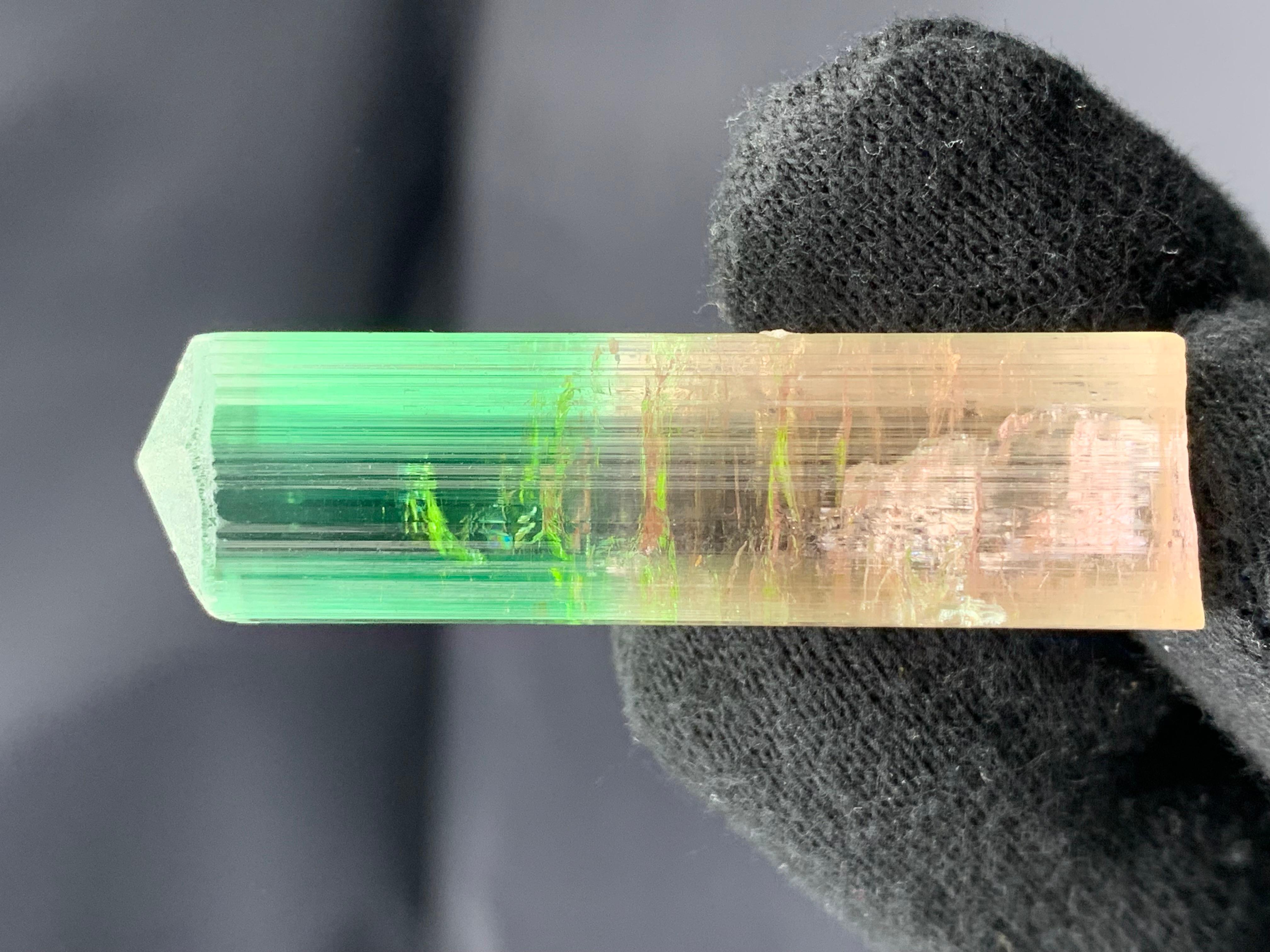 PRODUKTINFORMATION:

Exemplar Typ: Spitzenqualität Buntes Bi-Color
Turmalin-Kristall
Gewicht: 22,84 Gramm
Dimension:  H: 5.2 x B: 1.5 x T: 1.4 Cm
Herkunft: Paprook-Mine, Provinz Nuristan,
Afghanistan
Behandlung: Keine

BESCHREIBUNG:

Wir stellen