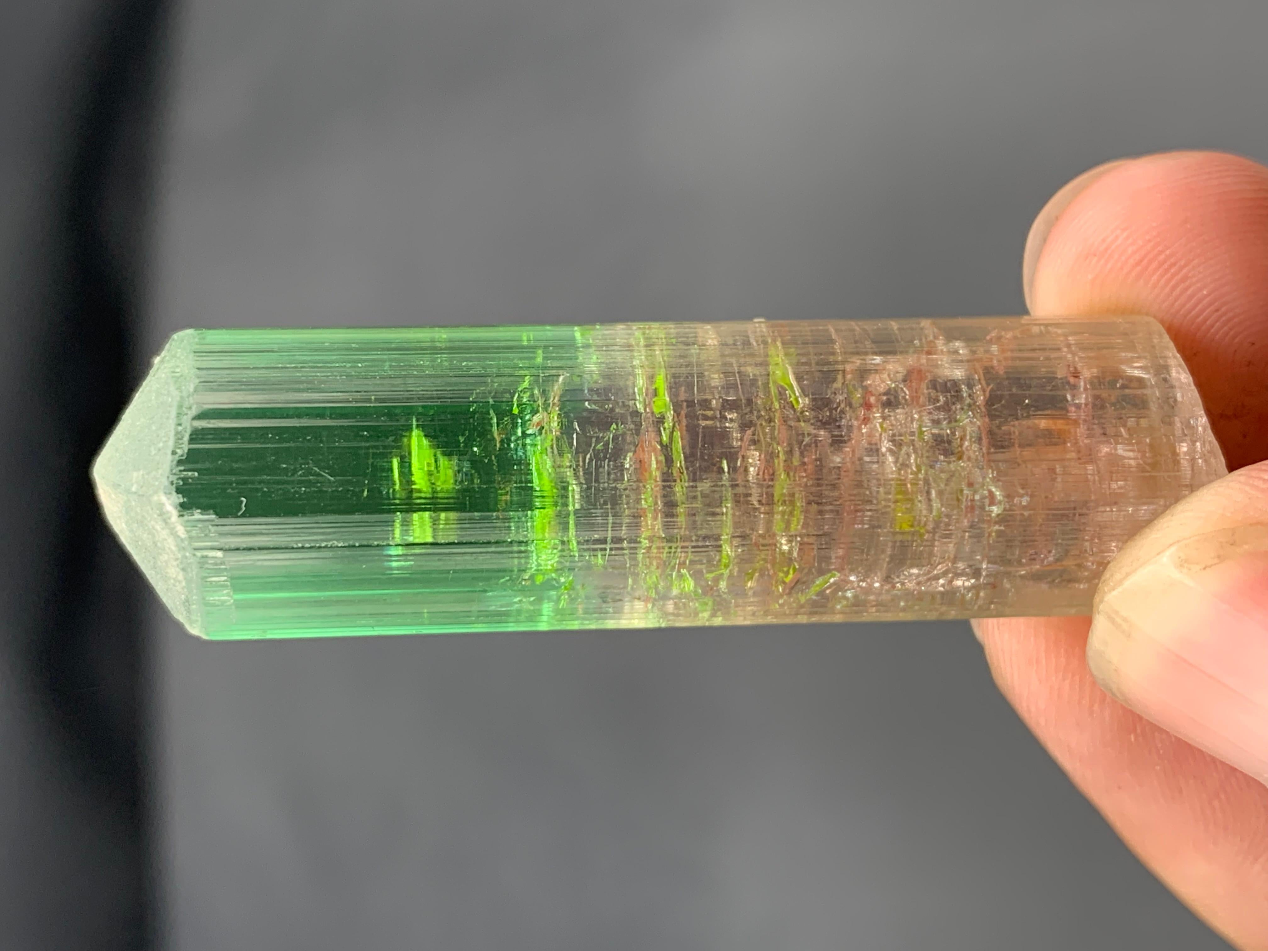 22,84 Gramm farbenfroher, mehrfarbiger Turmalinkristall aus der Paprook-Mine, Afghanistan (Adamstil) im Angebot