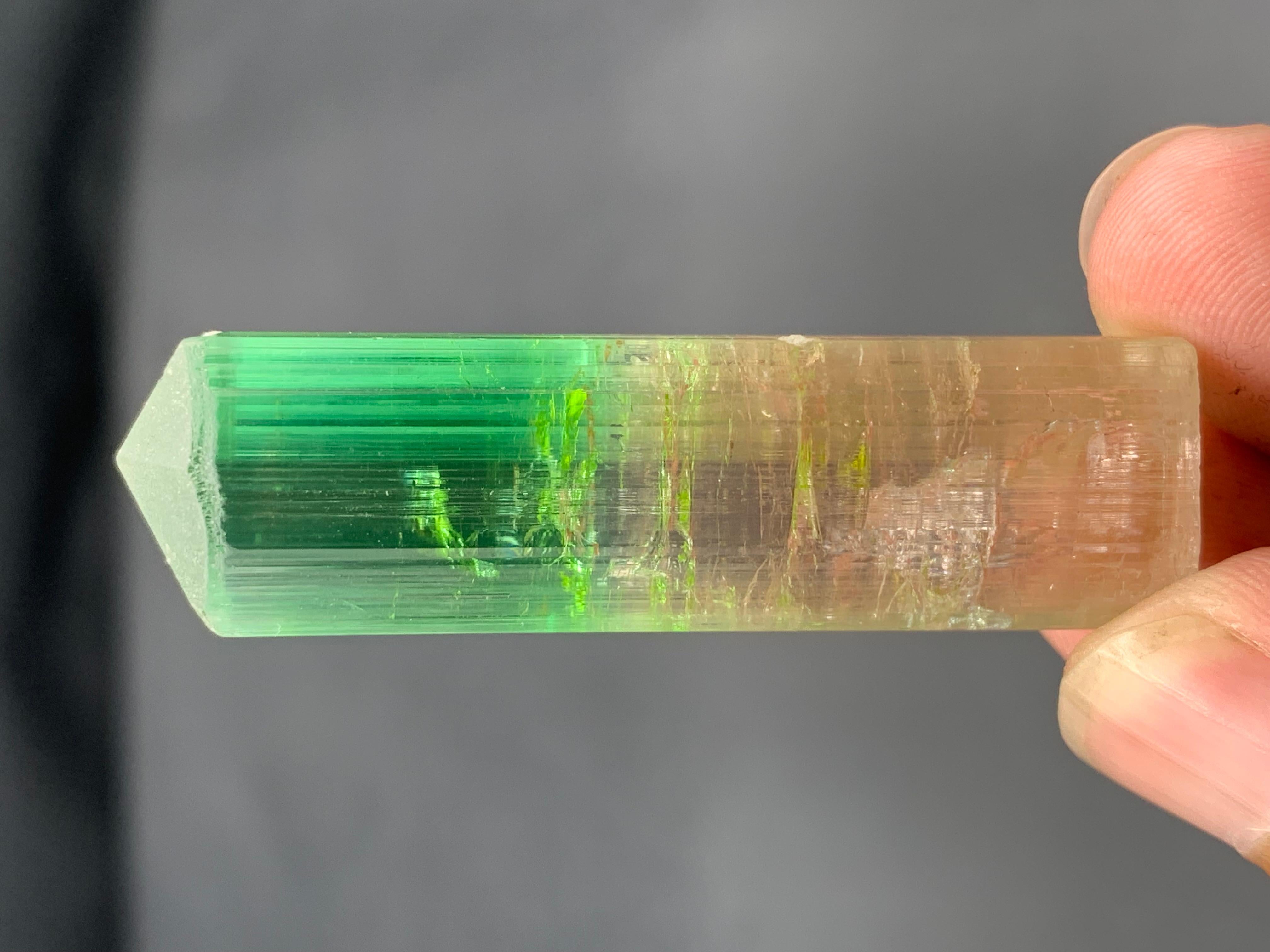 22,84 Gramm farbenfroher, mehrfarbiger Turmalinkristall aus der Paprook-Mine, Afghanistan (Afghanisch) im Angebot