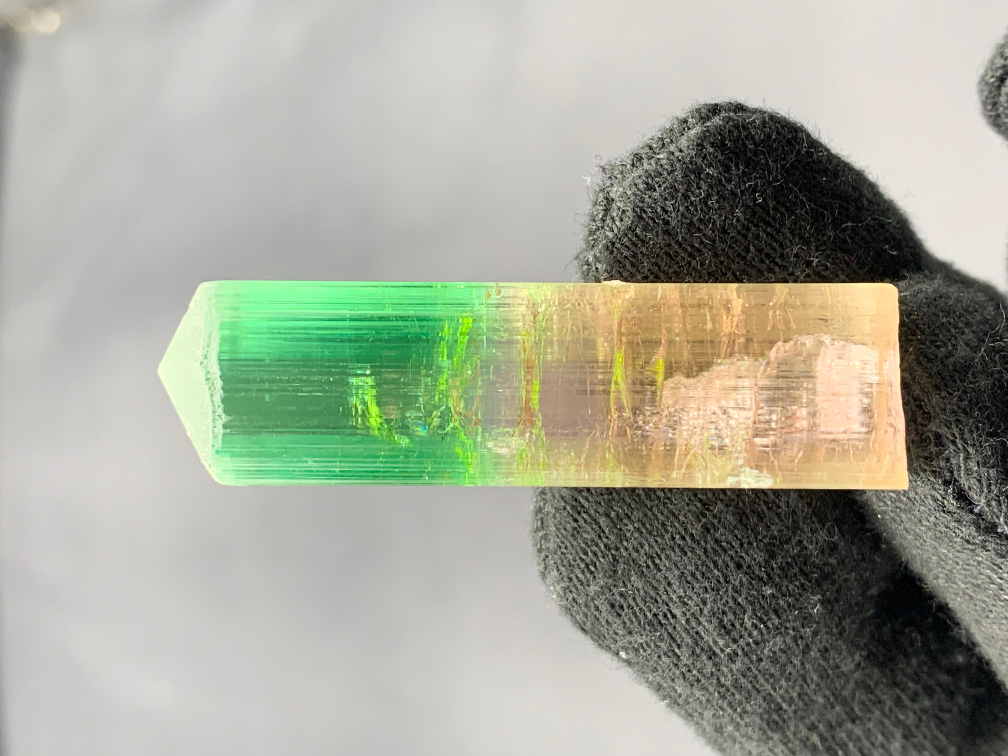 22,84 Gramm farbenfroher, mehrfarbiger Turmalinkristall aus der Paprook-Mine, Afghanistan im Zustand „Gut“ im Angebot in Peshawar, PK