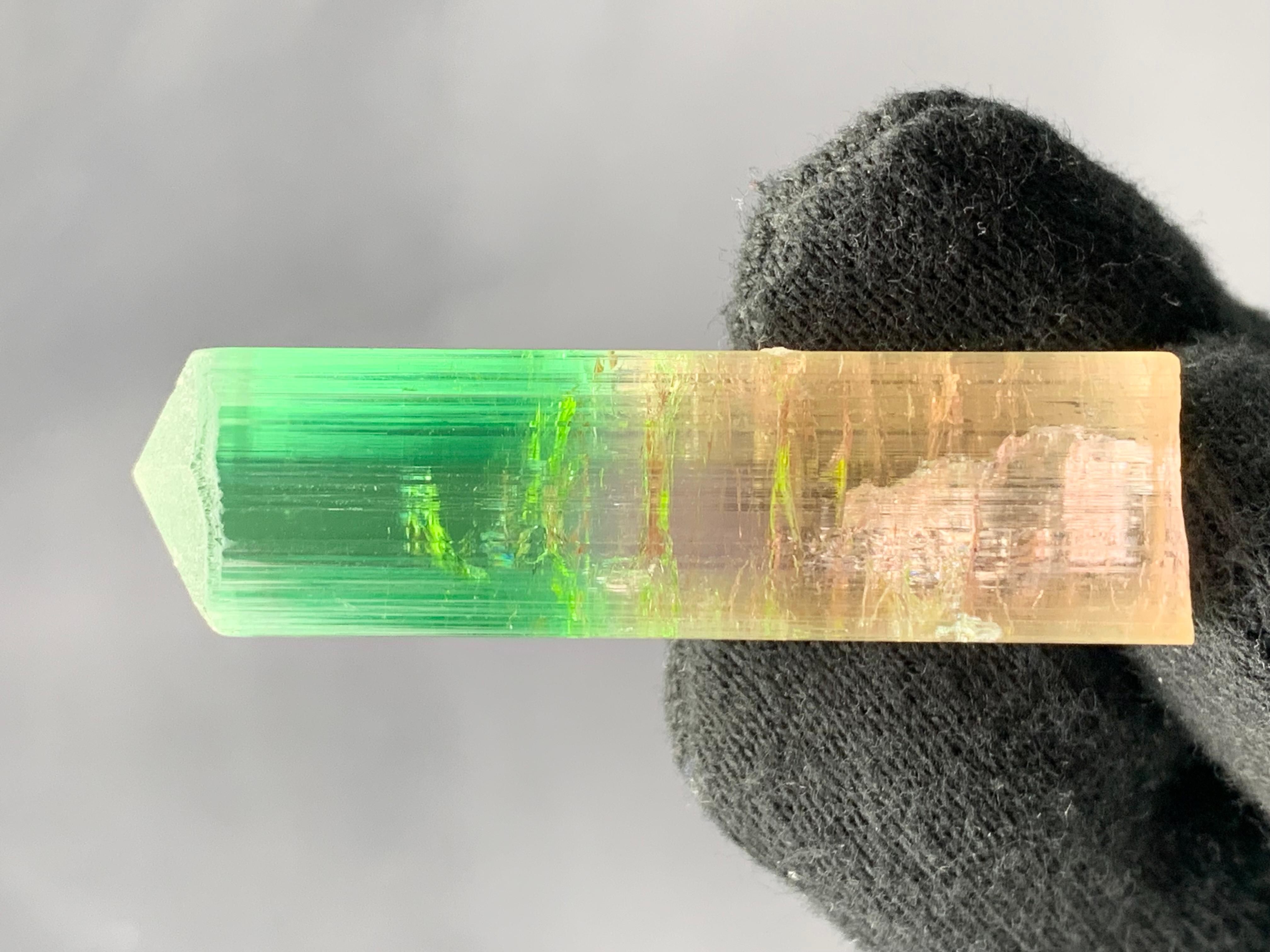 22,84 Gramm farbenfroher, mehrfarbiger Turmalinkristall aus der Paprook-Mine, Afghanistan (21. Jahrhundert und zeitgenössisch) im Angebot