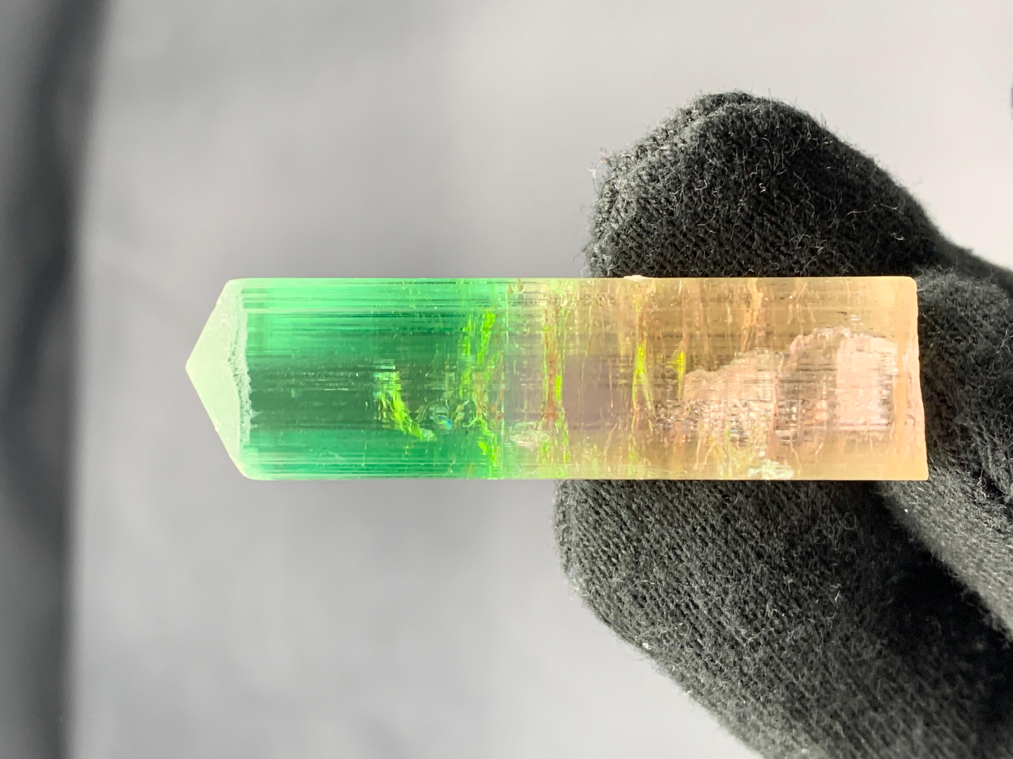 22,84 Gramm farbenfroher, mehrfarbiger Turmalinkristall aus der Paprook-Mine, Afghanistan im Angebot 1