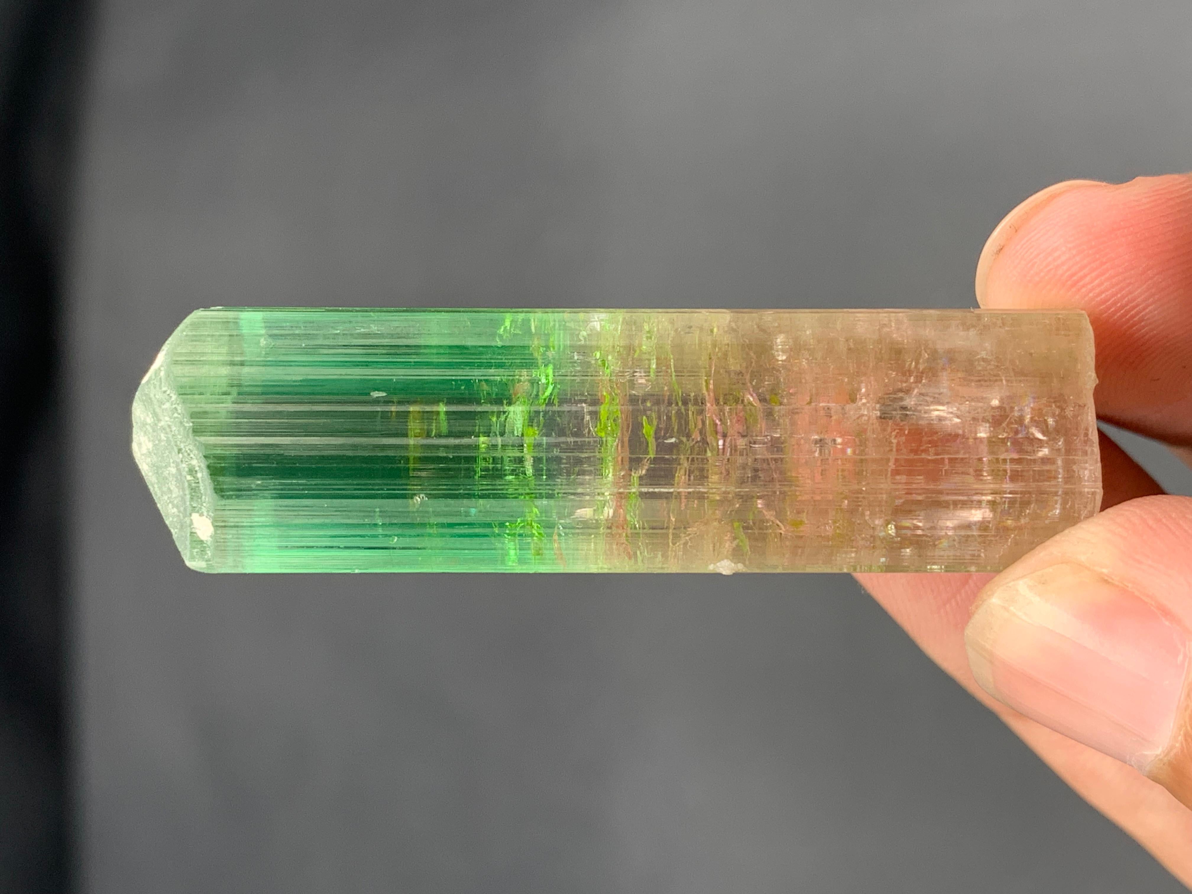 22,84 Gramm farbenfroher, mehrfarbiger Turmalinkristall aus der Paprook-Mine, Afghanistan im Angebot 2